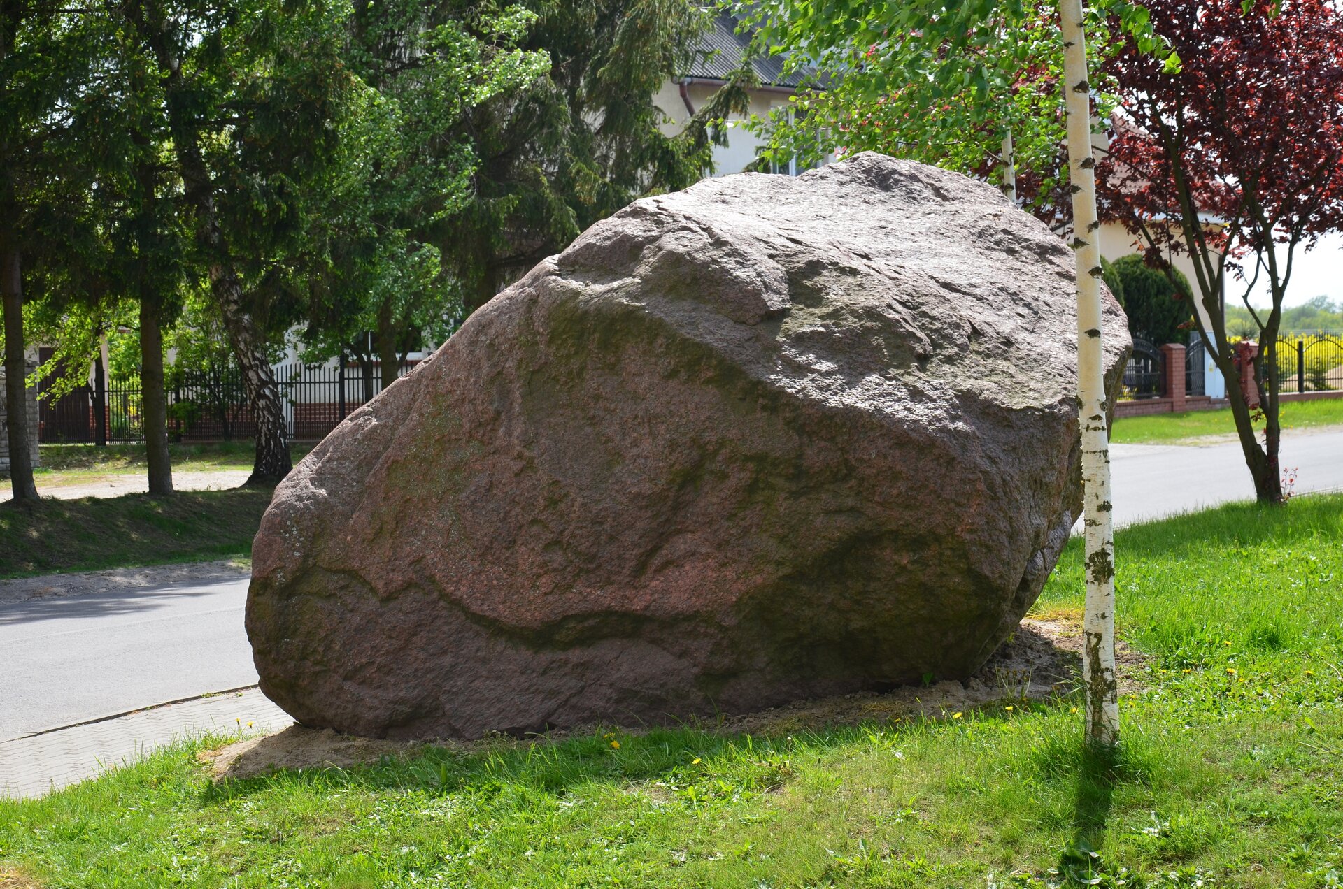 Zdjęcie przedstawia dużą skałę. Leży ona na trawie przy drodze. Wokół rosną różne drzewa.