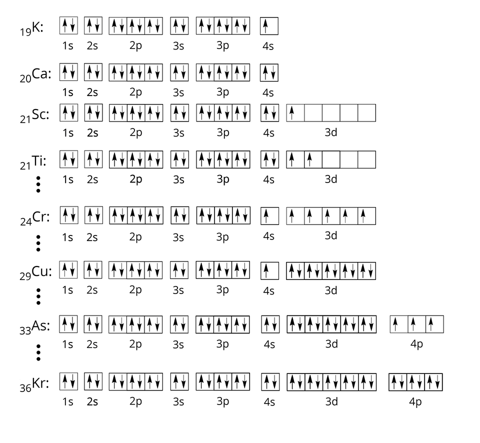 Konfiguracja orbitalna atomu potasu: indeks dolny dziewiętnaście koniec indeksu K dwukropek dziesięć kwadratów. W pierwszym znajdują się dwie strzałki: jedna skierowana w górę i jedna skierowana w dół, pod spodem zapis jeden s. W drugim znajdują się dwie strzałki: jedna skierowana w górę i jedna skierowana w dół, pod spodem zapis dwa s. Trzy następne kwadraty są połączone ze sobą, a w każdym z nich znajdują się po dwie strzałki: jedna skierowana w górę i jedna skierowana w dół. Pod spodem zapis dwa p. Dalej znajduje się jeden kwadrat, w którym znajdują się dwie strzałki: jedna skierowana w górę i jedna skierowana w dół. Pod spodem zapis trzy s. Dalej znajdują się trzy połączone ze sobą kwadraty. W każdym z nich znajdują się po dwie strzałki: jedna skierowana w górę i jedna skierowana w dół. Pod spodem zapis trzy p. Na końcu znajduje się jeden kwadrat, w którym znajduje się jedna strzałka skierowana w górę. Pod spodem zapis cztery s. Konfiguracja orbitalna atomu wapnia: indeks dolny dwadzieścia koniec indeksu C a dwukropek dziesięć kwadratów. W pierwszym znajdują się dwie strzałki: jedna skierowana w górę i jedna skierowana w dół, pod spodem zapis jeden s. W drugim znajdują się dwie strzałki: jedna skierowana w górę i jedna skierowana w dół, pod spodem zapis dwa s. Trzy następne kwadraty są połączone ze sobą, a w każdym z nich znajdują się po dwie strzałki: jedna skierowana w górę i jedna skierowana w dół. Pod spodem zapis dwa p. Dalej znajduje się jeden kwadrat, w którym znajdują się dwie strzałki: jedna skierowana w górę i jedna skierowana w dół. Pod spodem zapis trzy s. Dalej znajdują się trzy połączone ze sobą kwadraty. W każdym z nich znajdują się po dwie strzałki: jedna skierowana w górę i jedna skierowana w dół. Pod spodem zapis trzy p. Na końcu znajduje się jeden kwadrat, w którym znajdują się dwie strzałki: jedna skierowana w górę i jedna skierowana w dół. Pod spodem zapis cztery s. Konfiguracja orbitalna atomu skandu: indeks dolny dwadzieścia jeden koniec indeksu S c dwukropek piętnaście kwadratów. W pierwszym znajdują się dwie strzałki: jedna skierowana w górę i jedna skierowana w dół, pod spodem zapis jeden s. W drugim znajdują się dwie strzałki: jedna skierowana w górę i jedna skierowana w dół, pod spodem zapis dwa s. Trzy następne kwadraty są połączone ze sobą, a w każdym z nich znajdują się po dwie strzałki: jedna skierowana w górę i jedna skierowana w dół. Pod spodem zapis dwa p. Dalej znajduje się jeden kwadrat, w którym znajdują się dwie strzałki: jedna skierowana w górę i jedna skierowana w dół. Pod spodem zapis trzy s. Dalej znajdują się trzy połączone ze sobą kwadraty. W każdym z nich znajdują się po dwie strzałki: jedna skierowana w górę i jedna skierowana w dół. Pod spodem zapis trzy p. Dalej znajduje się jeden kwadrat, w którym znajdują się dwie strzałki: jedna skierowana w górę i jedna skierowana w dół. Pod spodem zapis cztery s. Na końcu znajduje się pięć połączonych ze sobą kwadratów, a w pierwszym z nich znajduje się jedna strzałka skierowana w górę. Pod spodem zapis trzy d. Konfiguracja orbitalna atomu tytanu: indeks dolny dwadzieścia dwa koniec indeksu T i dwukropek piętnaście kwadratów. W pierwszym znajdują się dwie strzałki: jedna skierowana w górę i jedna skierowana w dół, pod spodem zapis jeden s. W drugim znajdują się dwie strzałki: jedna skierowana w górę i jedna skierowana w dół, pod spodem zapis dwa s. Trzy następne kwadraty są połączone ze sobą, a w każdym z nich znajdują się po dwie strzałki: jedna skierowana w górę i jedna skierowana w dół. Pod spodem zapis dwa p. Dalej znajduje się jeden kwadrat, w którym znajdują się dwie strzałki: jedna skierowana w górę i jedna skierowana w dół. Pod spodem zapis trzy s. Dalej znajdują się trzy połączone ze sobą kwadraty. W każdym z nich znajdują się po dwie strzałki: jedna skierowana w górę i jedna skierowana w dół. Pod spodem zapis trzy p. Dalej znajduje się jeden kwadrat, w którym znajdują się dwie strzałki: jedna skierowana w górę i jedna skierowana w dół. Pod spodem zapis cztery s. Na końcu znajduje się pięć połączonych ze sobą kwadratów, a w pierwszym i w drugim z nich znajduje się po jednej strzałce skierowanej w górę. Pod spodem zapis trzy d. Wielokropek. Konfiguracja orbitalna atomu chromu: indeks dolny dwadzieścia cztery koniec indeksu C r dwukropek piętnaście kwadratów. W pierwszym znajdują się dwie strzałki: jedna skierowana w górę i jedna skierowana w dół, pod spodem zapis jeden s. W drugim znajdują się dwie strzałki: jedna skierowana w górę i jedna skierowana w dół, pod spodem zapis dwa s. Trzy następne kwadraty są połączone ze sobą, a w każdym z nich znajdują się po dwie strzałki: jedna skierowana w górę i jedna skierowana w dół. Pod spodem zapis dwa p. Dalej znajduje się jeden kwadrat, w którym znajdują się dwie strzałki: jedna skierowana w górę i jedna skierowana w dół. Pod spodem zapis trzy s. Dalej znajdują się trzy połączone ze sobą kwadraty. W każdym z nich znajdują się po dwie strzałki: jedna skierowana w górę i jedna skierowana w dół. Pod spodem zapis trzy p. Dalej znajduje się jeden kwadrat, w którym znajduje się jedna strzałka skierowana w górę. Pod spodem zapis cztery s. Na końcu znajduje się pięć połączonych ze sobą kwadratów, a w każdym z nich znajduje się po jednej strzałce skierowanej w górę. Pod spodem zapis trzy d. Wielokropek. Konfiguracja orbitalna atomu miedzi: indeks dolny dwadzieścia dziewięć koniec indeksu C u dwukropek piętnaście kwadratów. W pierwszym znajdują się dwie strzałki: jedna skierowana w górę i jedna skierowana w dół, pod spodem zapis jeden s. W drugim znajdują się dwie strzałki: jedna skierowana w górę i jedna skierowana w dół, pod spodem zapis dwa s. Trzy następne kwadraty są połączone ze sobą, a w każdym z nich znajdują się po dwie strzałki: jedna skierowana w górę i jedna skierowana w dół. Pod spodem zapis dwa p. Dalej znajduje się jeden kwadrat, w którym znajdują się dwie strzałki: jedna skierowana w górę i jedna skierowana w dół. Pod spodem zapis trzy s. Dalej znajdują się trzy połączone ze sobą kwadraty. W każdym z nich znajdują się po dwie strzałki: jedna skierowana w górę i jedna skierowana w dół. Pod spodem zapis trzy p. Dalej znajduje się jeden kwadrat, w którym znajduje się jedna strzałka skierowana w górę. Pod spodem zapis cztery s. Na końcu znajduje się pięć połączonych ze sobą kwadratów, a w każdym z nich znajdują się po dwie strzałki: jedna skierowana w górę i jedna skierowana w dół. Pod spodem zapis trzy d. Wielokropek. Konfiguracja orbitalna atomu arsenu: indeks dolny trzydzieści trzy koniec indeksu A s dwukropek osiemnaście kwadratów. W pierwszym znajdują się dwie strzałki: jedna skierowana w górę i jedna skierowana w dół, pod spodem zapis jeden s. W drugim znajdują się dwie strzałki: jedna skierowana w górę i jedna skierowana w dół, pod spodem zapis dwa s. Trzy następne kwadraty są połączone ze sobą, a w każdym z nich znajdują się po dwie strzałki: jedna skierowana w górę i jedna skierowana w dół. Pod spodem zapis dwa p. Dalej znajduje się jeden kwadrat, w którym znajdują się dwie strzałki: jedna skierowana w górę i jedna skierowana w dół. Pod spodem zapis trzy s. Dalej znajdują się trzy połączone ze sobą kwadraty. W każdym z nich znajdują się po dwie strzałki: jedna skierowana w górę i jedna skierowana w dół. Pod spodem zapis trzy p. Dalej znajduje się jeden kwadrat, w którym znajdują się dwie strzałki: jedna skierowana w górę i jedna skierowana w dół. Pod spodem zapis cztery s. Dalej znajduje się pięć połączonych ze sobą kwadratów, a w każdym z nich znajdują się po dwie strzałki: jedna skierowana w górę i jedna skierowana w dół. Pod spodem zapis trzy d. Na końcu znajdują się trzy połączone ze sobą kwadraty, a w każdym z nich znajduje się po jednej strzałce skierowanej w górę. Pod spodem zapis cztery p. Wielokropek. Konfiguracja orbitalna atomu kryptonu: indeks dolny trzydzieści sześć koniec indeksu K r dwukropek osiemnaście kwadratów. W pierwszym znajdują się dwie strzałki: jedna skierowana w górę i jedna skierowana w dół, pod spodem zapis jeden s. W drugim znajdują się dwie strzałki: jedna skierowana w górę i jedna skierowana w dół, pod spodem zapis dwa s. Trzy następne kwadraty są połączone ze sobą, a w każdym z nich znajdują się po dwie strzałki: jedna skierowana w górę i jedna skierowana w dół. Pod spodem zapis dwa p. Dalej znajduje się jeden kwadrat, w którym znajdują się dwie strzałki: jedna skierowana w górę i jedna skierowana w dół. Pod spodem zapis trzy s. Dalej znajdują się trzy połączone ze sobą kwadraty. W każdym z nich znajdują się po dwie strzałki: jedna skierowana w górę i jedna skierowana w dół. Pod spodem zapis trzy p. Dalej znajduje się jeden kwadrat, w którym znajdują się dwie strzałki: jedna skierowana w górę i jedna skierowana w dół. Pod spodem zapis cztery s. Dalej znajduje się pięć połączonych ze sobą kwadratów, a w każdym z nich znajdują się po dwie strzałki: jedna skierowana w górę i jedna skierowana w dół. Pod spodem zapis trzy d. Na końcu znajdują się trzy połączone ze sobą kwadraty, a w każdym z nich znajdują się po dwie strzałki: jedna skierowana w górę i jedna skierowana w dół. Pod spodem zapis cztery p.
