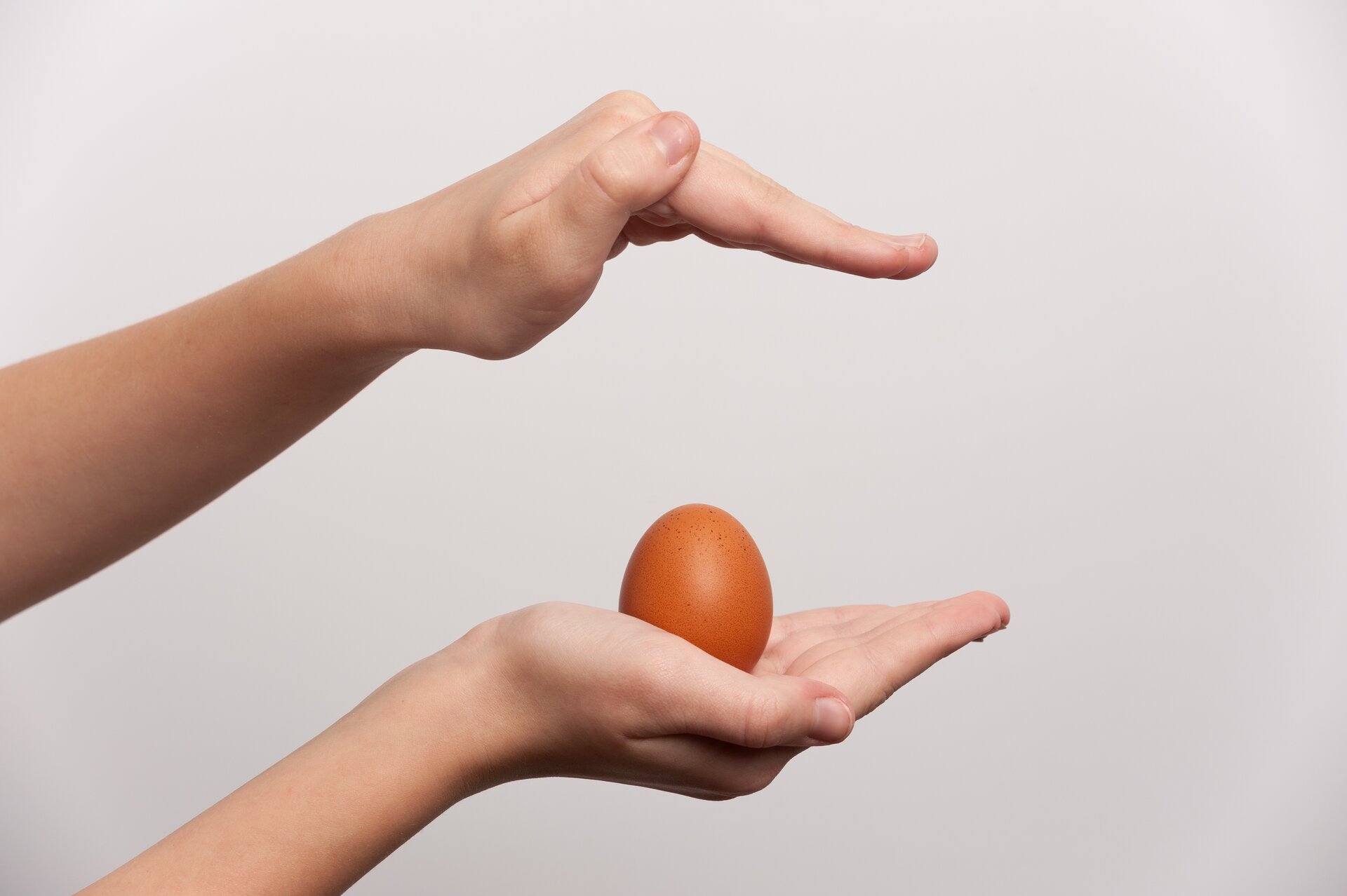 Zdjęcie przedstawia wystawioną dłoń, na której leży jajko. Druga dłoń osłania jajko od góry.
