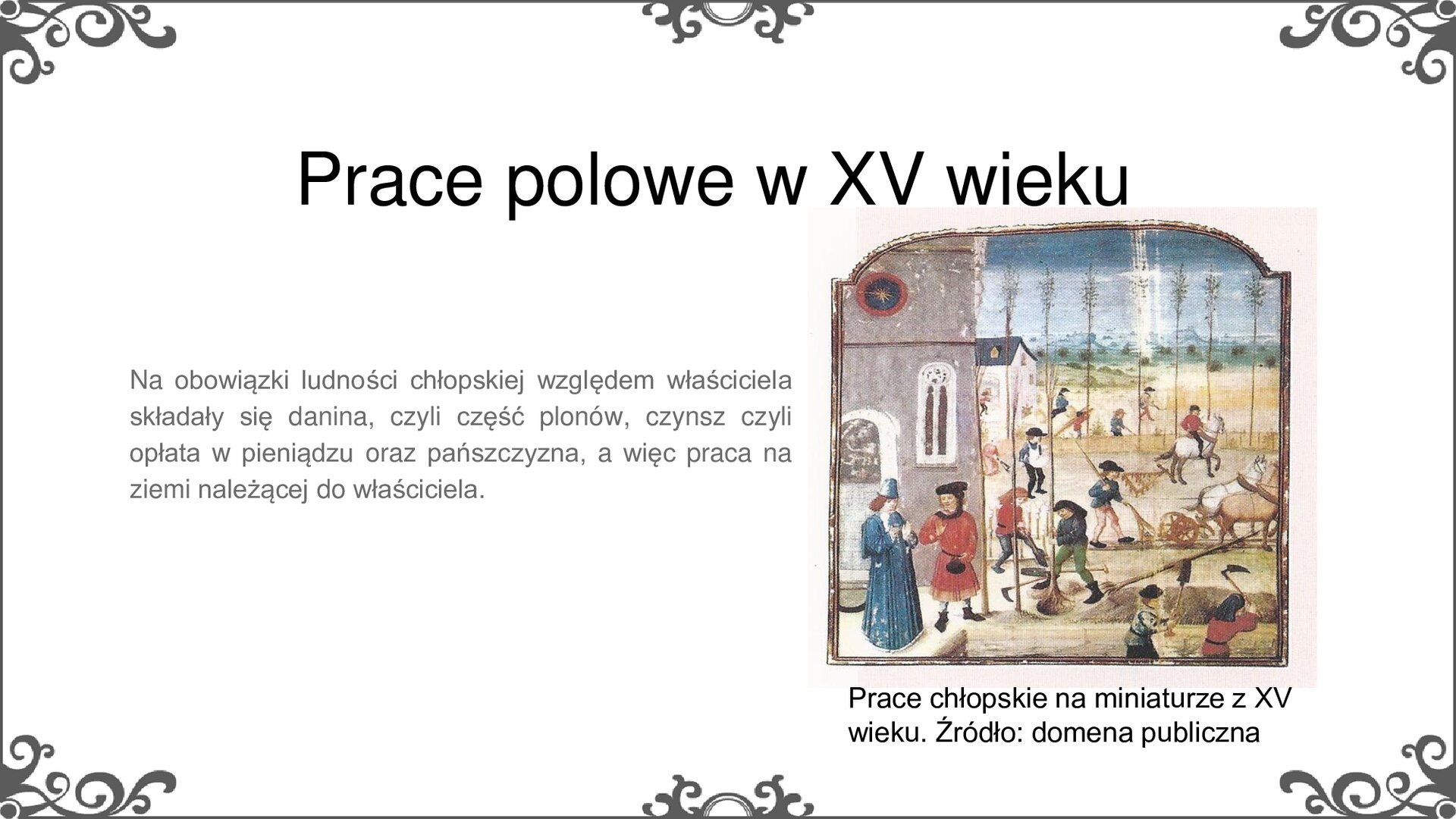 Slajd zatytułowano: Prace polowe w XV wieku. Na slajdzie znajduje się ilustracja i napis: prace chłopskie na miniaturze z XV wieku. Źródło: domena publiczna. Ilustracja przedstawia prace prowadzone na polu. Po lewej stronie przed budynkiem stoi dwóch mężczyzn rozmawiających ze sobą. Ich stroje wskazują, że pochodzą z wyższej warstwy społecznej. Po prawej stronie widać pole, na którym pracują chłopi. Na pierwszym planie dwóch kopie ziemię, za nimi kolejni sadzą drzewa. Dalej mężczyzna orze pługiem zaprzęgniętym do koni. Dalej, kolejny bronuje, broną zaprzęgniętą do koni. W oddali widać kolejnych mężczyzn przy innych pracach polowych.