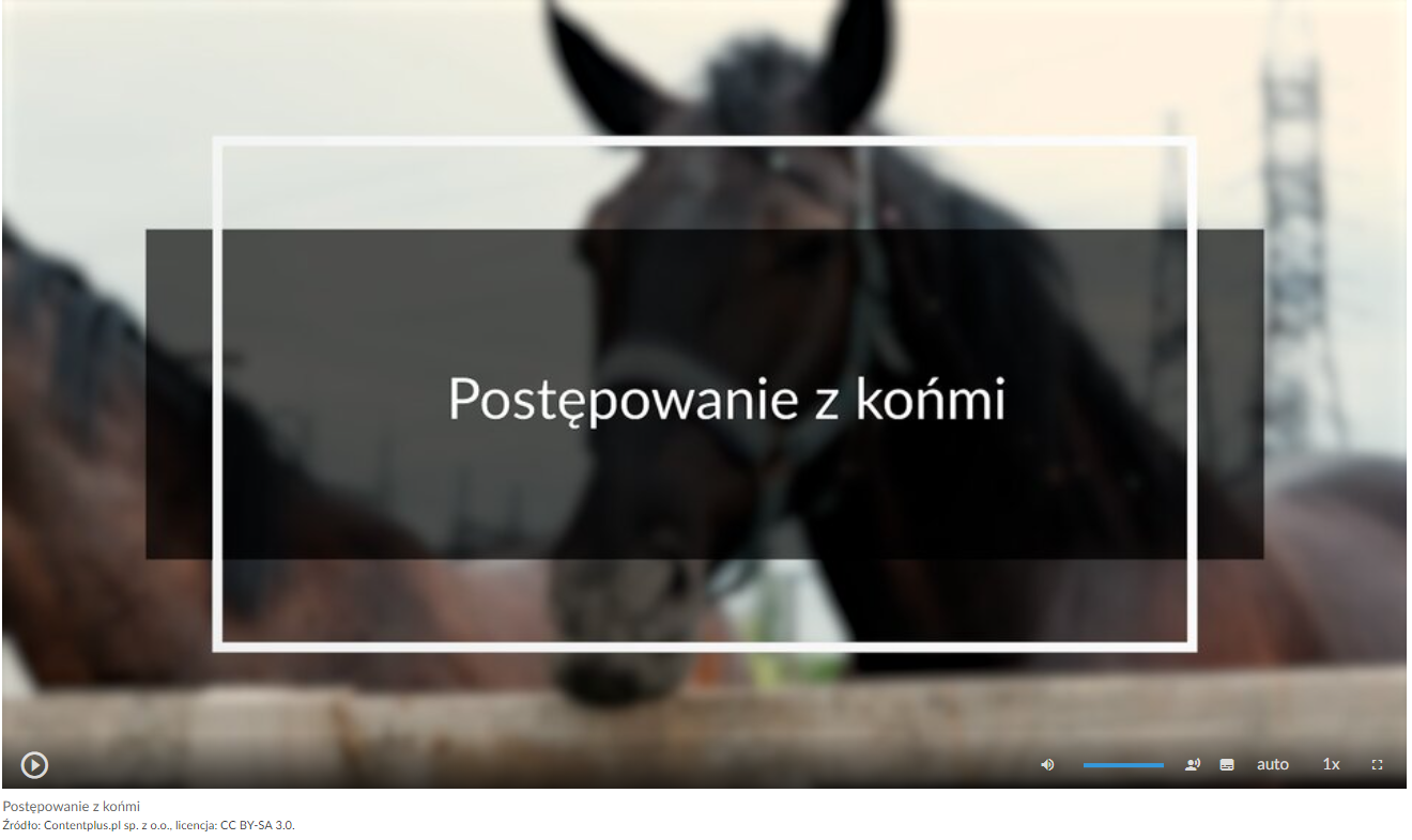 Grafika przedstawia przykładowy widok ekranu filmu. Na środku znajduje się tytuł materiału filmowego: Postępowanie z końmi. W tle widać głowę konia. W dolnej części ekranu znajdują się ikony z różnymi opcjami. W dolnym lewym rogu umieszczono ikonę trójkąta w kółku. Jest to ikona włączania odtwarzania filmu. Kolejna ikona znajduje się dopiero w połowie ekranu dolnego paska. Jest to ikona megafonu. Obok niej widać niebieski pasek, który oznacza poziom głośności. Dalej znajduje się mały biały prostokąt z czarnymi paskami w jego dolnej części. Pozwala ona na włączenie napisów. Kolejna ikona to napis auto, która umożliwia wybranie jakości filmu. Obok niej widać ikonę jedynki z iksem. Po kliknięciu na nią można wybrać szybkość odtwarzania filmu. Ostatnia ikona to kreski tworzące kwadrat. Kreski te tworzą jedynie krawędzie kwadratu. Jest to opcja włączania trybu pełnoekranowego.
