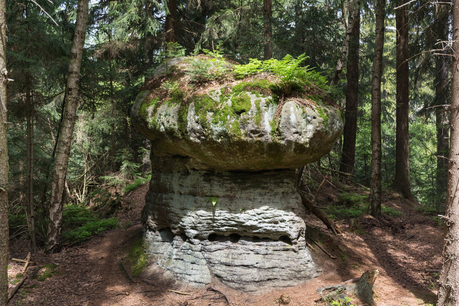 Fotografia prezentuje skałę kształtem przypominającą grzyba, będącą skutkiem erozji wiatrowej.