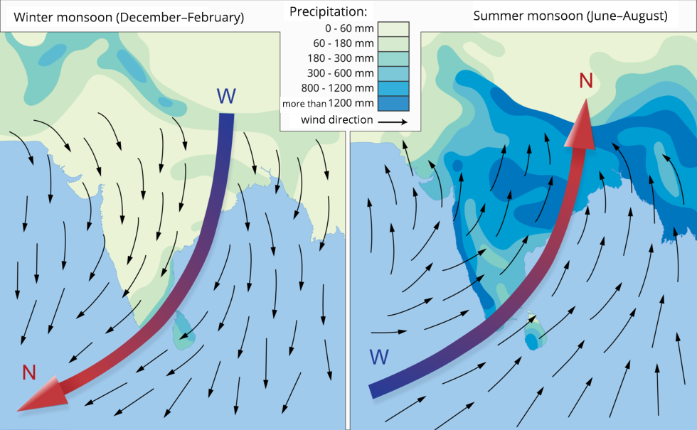 Ilustracja przedstawia cyrkulacje monsunów, monsoons. Wiejący w Azji Południowej i Południowo-Wschodniej monsun letni przynosi znad oceanu potężne opady, natomiast monsun zimowy powoduje napływ suchego i chłodnego powietrza z wnętrza kontynentu. Ilustracja przedstawia kierunki wiatru i wielkość opadów w rejonie Azji Południowej i Południowo-Wschodniej w zimie i w lecie. Z lewej strony przedstawiono monsun zimowy, the winter monsoon wiejący w okresie December–February. Małe opady wynoszą 60 - 180 milimetrów. Opisano wyż nad lądem, niż nad morzem. Wiatr wieje z lądu w kierunku morza co zaznaczono grubą strzałką i dużą ilością małych czarnych strzałek. Z prawej strony przedstawiono monsun letni, The summer monsoon, wiejący w okresie June–August. Duże opady zaznaczono kolorem ciemno niebieskim, more than 1200 milimetrów.  Opisano niż nad lądem i wyż nad morzem. Wiatr od morza w kierunku lądu zaznaczono grubą strzałką i dużą ilością małych czarnych strzałek. 