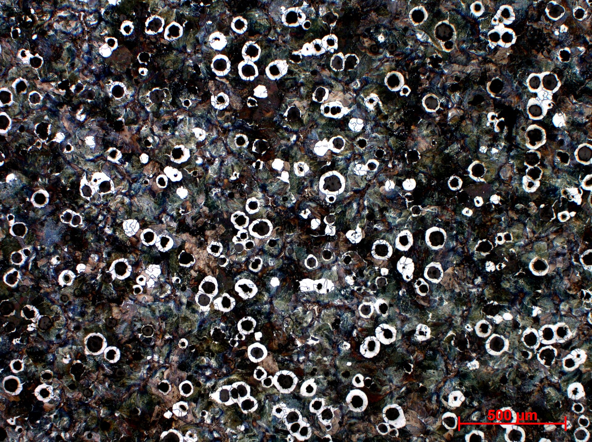 Zdjęcie pokazuje żeliwo sferoidalne. Widoczna jest osnowa ferrytyczno perlityczna z grafitem sferoidalnym w powiększeniu pięciokrotnym. Czarny grafit sferoidalny jest otoczony białymi ziarnami ferrytu, zatopionymi w ciemnym perlicie.