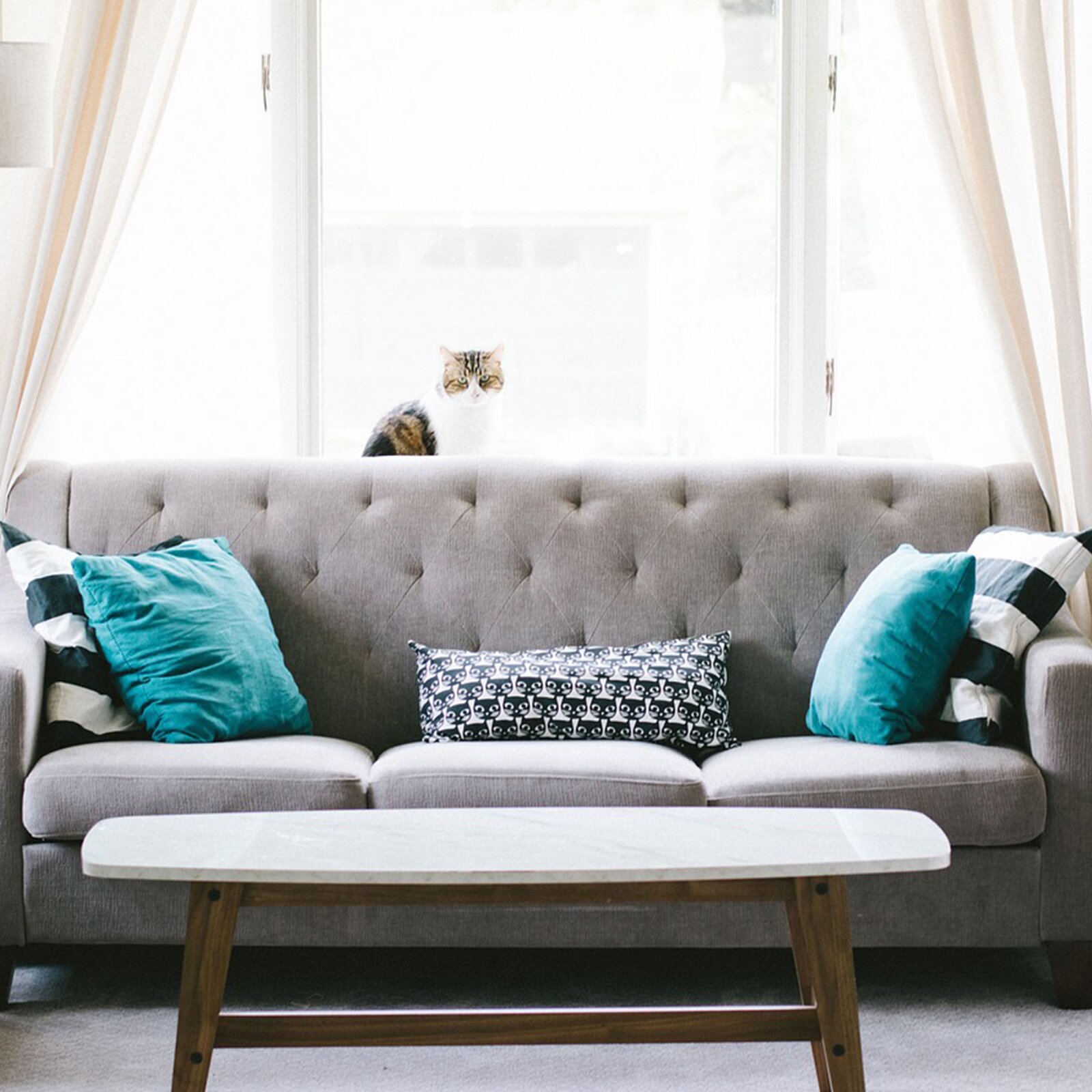 Zdjęcie przedstawia fragment salonu. Pod dużym oknem stoi szara sofa, na której oparciu stoi kot. Po jednej stronie sofy znajduje się duża, stojąca lampa, a po drugiej mała lampka stojąca na stoliku. Obok niej leży wazon z kwiatami.  Przed sofą na dywanie stoi stolik kawowy. 