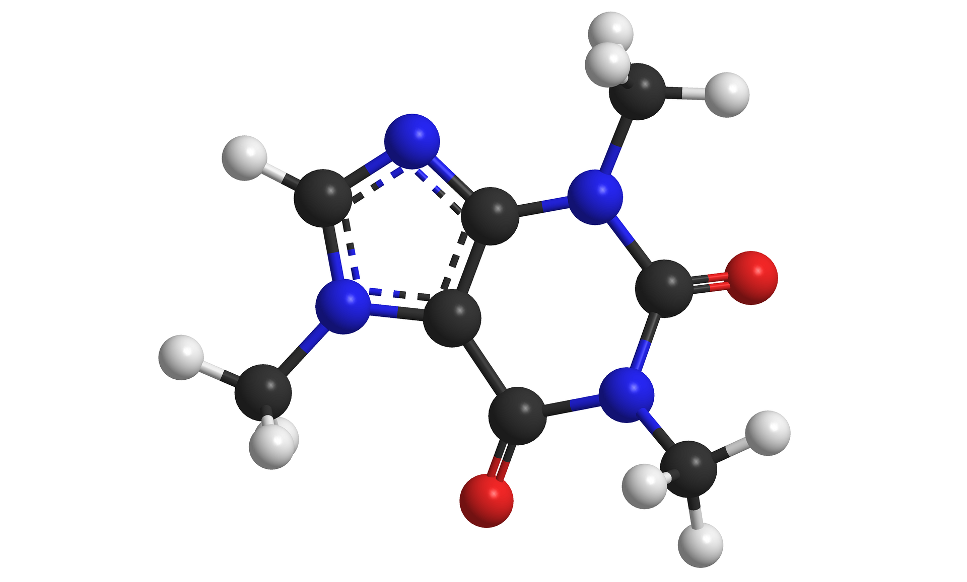 Na grafice przedstawiony został model kulkowy cząsteczki kofeiny. Cząsteczka składa się z 10 atomów wodoru, 8 atomów węgla, 4 atomów azotu i 2 atomów tlenu. Kolorem czarnym oznaczono atomy węgla, kolorem niebieskim oznaczono atomy azotu, kolorem białym oznaczono atomy wodoru, kolorem czerwonym oznaczono atomy tlenu.  Cząsteczka kofeiny zbudowana jest z pierścienia purynowego - sześcioczłonowego pierścienia, który składa się kolejno z: atomu azotu (do którego przyłączona jest też grupa metylowa), atomu węgla (do którego przyłączony jest atom tlenu), atomu azotu (do którego jest przyłączona grupa metylowa), atomu węgla (do którego przyłączony jest atom tlenu i dwóch atomów węgla, które jednocześnie współtworzą pierścień pięcioczłonowy z: atomem azotu tworzącym trzy wiązania: jedno z wcześniej wspomnianym atomem węgla, jedno z grupą metylową i jedno z atomem węgla, który połączony jest też z atomem wodoru i atomem azotu. Atom azotu tworzy drugie wiązanie z drugim wspólnym dla pierścienia pięcio- i sześcioczłonowego atomem węgla.