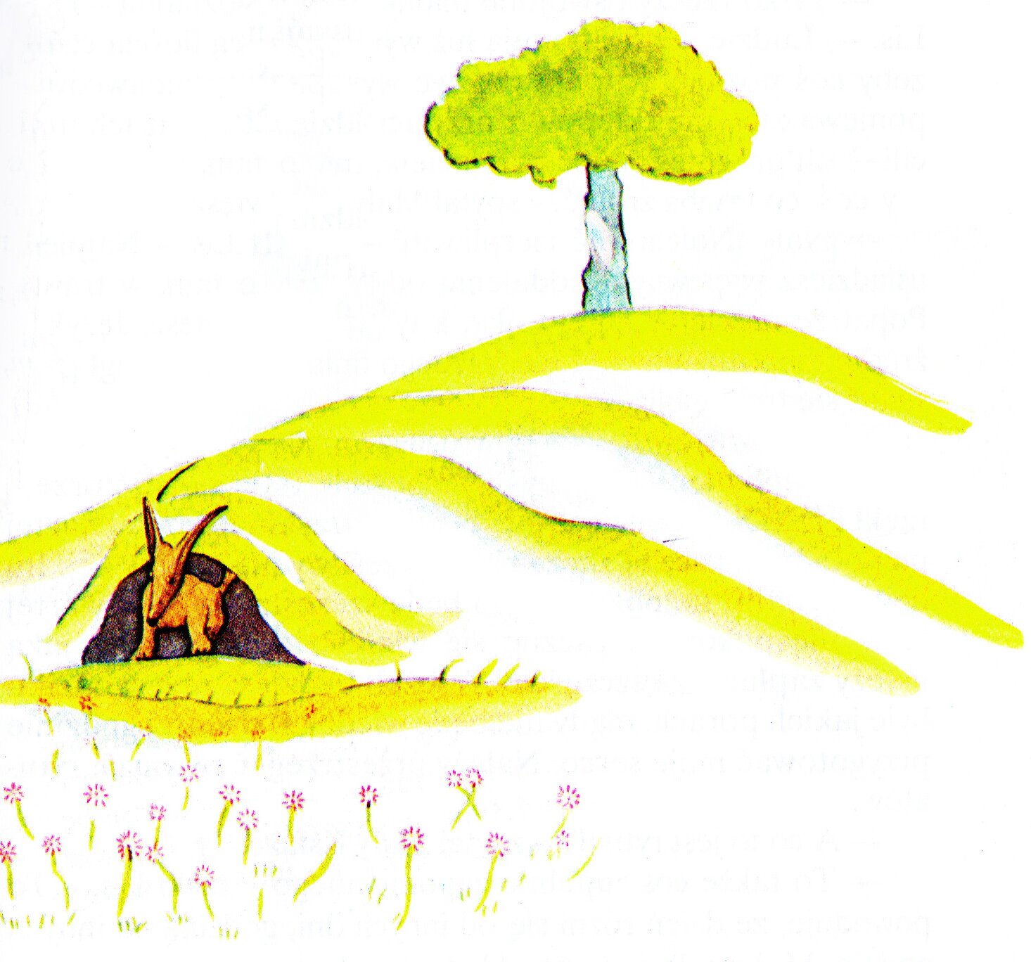 Na ilustracji przedstawiony jest lis, który wygląda z jamy. Znajduje się po lewej stronie obrazka. Przed nim znajduje się łąka z kwiatami. Nad nim rozciąga się wzgórze z drzewem na szczycie. Tło jest białe.