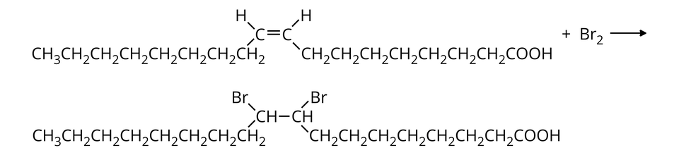 Ilustracja przedstawia równanie reakcji chemicznej. Dwa atomy węgla C połączone są ze sobą wiązaniem podwójnym. Od każdego z nich odchodzi w górę pojedyncze wiązanie do atomu wodoru H. Dodatkowo od atomu węgla C z lewej strony odchodzi wiązanie pojedyncze na ukos w dół do ciągu siedmiu grup C H indeks dolny, dwa, koniec indeksu dolnego i grupy C H indeks dolny, trzy, koniec indeksu dolnego. Od atomu węgla C z prawej strony odchodzi wiązanie pojedyncze na ukos w dół do ciągu siedmiu grup C H indeks dolny, dwa, koniec indeksu dolnego i grupy C O O H. Po prawej stronie wzoru znajduje się zapis plus B r indeks dolny, dwa, koniec indeksu dolnego. Dalej strzałka w prawą stronę. Za strzałką dwie grupy C H połączone są ze sobą wiązaniem pojedynczym. Od każdego z nich odchodzi w górę pojedyncze wiązanie do atomu bromu B r. Dodatkowo od grupy C H z lewej strony odchodzi wiązanie pojedyncze na ukos w dół do ciągu siedmiu grup C H indeks dolny, dwa, koniec indeksu dolnego i grupy C H indeks dolny, trzy, koniec indeksu dolnego. Od grupy C H z prawej strony odchodzi wiązanie pojedyncze na ukos w dół do ciągu siedmiu grup C H indeks dolny, dwa, koniec indeksu dolnego i grupy C O O H.