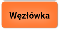 Grafika przedstawia przykładową błędnie zaznaczoną nazwę z gry edukacyjnej. Widoczny jest pomarańczowy prostokąt z napisem węzłówka.