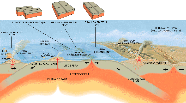 Ilustracja przedstawia granice płyt tektonicznych i ruch płyt litosfery w strefie ryftowej i subdukcji. Na ilustracji jest przekrój przez warstwy ziemi. Od dołu schematu jest żółta warstwa, następnie na pomarańczowo zaznaczono warstwę astenosfery, nad nią po prawej stronie jest subdukująca płyta, a po lewej litosfera, skorupa oceaniczna. Subdukująca płyta wchodzi w warstwę astenosfery. Pomiędzy subdukującą płytą a skorupą oceaniczną jest wybrzuszenie w postaci stożka astenosfery, dzielące te dwa obszary. W skorupie oceanicznej jest komin wulkanu z plamą gorąca w dolnej części leżącej w astenosferze. Wulkan ten to wulkan tarczowy o spłaszczonym wierzchołku. Po stronie litosfery, która schodzi w dół, w głąb ziemi, jest stratowulkan. W jego pobliżu leży łuk wyspowy w postaci stożków wyłaniających się z oceanu. Po prawej stronie schodzącej w głąb ziemi subdukującej płyty jest kolejny wulkan. Jego górną część stanowi skorupa kontynentalna, dolną subdukująca płyta. Za wulkanem na lądzie są liczne stożki. To łuk gór wulkanicznych. Po prawej stronie od wulkanu, w miejscu, gdzie wybrzusza się astenosfera, przecinając warstwę subdukującej płyty, powstaje dolina ryftowa - młoda granica płyt. Wokół niej są stożki. Nad skorupą oceaniczną i subdukującą płytą jest ocean, a na nim grzbiet oceaniczny w postaci wybrzuszenia. Przy grzbiecie zaznaczono strefę spękań, uskok transformacyjny (dwie powierzchnie przesuwają się względem siebie), granicę rozbieżną płyt (dwie płaskie powierzchnie rozsuwają się). Po prawej stronie od grzbietu, w miejscu, w którym płyta schodzi w głąb ziemi, jest rów oceaniczny. Na rowie zaznaczono granicę zbieżną płyt. Płyty kierują się od zewnątrz ku rowowi oceanicznemu. Jedna powierzchnia jest nachylona w stosunku do rowu pod pewnym kątem.