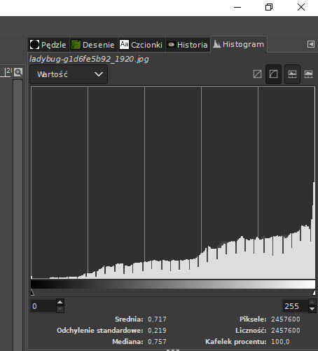 Ilustracja przedstawia histogram z tendencją rosnącą po prawej stronie. Pod histogramem są parametry. 