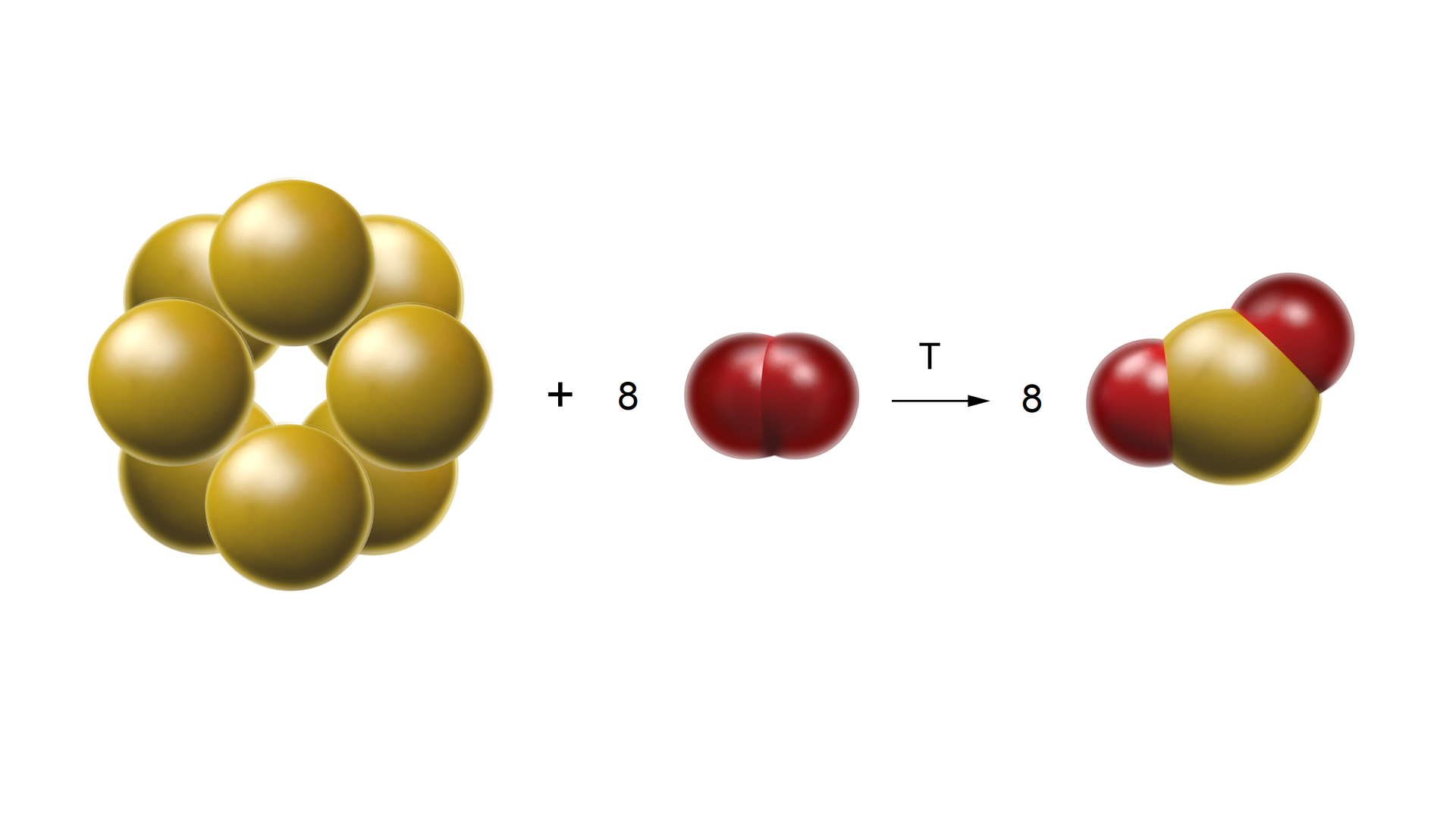 Ilustracja przedstawiająca model reakcji otrzymywania tlenku siarki (cztery). Kolorem żółtym oznaczono kulki symbolizujące atomy siarki, które tworzą pierścień ośmioczłonowy, siarki S 8, zaś czerwonym kulki symbolizujące atomy tlenu, dwie kulki tworzące cząsteczkę, których to z kolei w reakcji bierze udział osiem. Strzałka w prawo, nad strzałką symbol temperatury T, za strzałką osiem cząsteczek tlenku siarki (cztery) o strukturze, którą tworzy jedna kulka żółta, to jest atom siarki oraz stykające się z nią dwie kulki czerwone odpowiadające atomom tlenu.