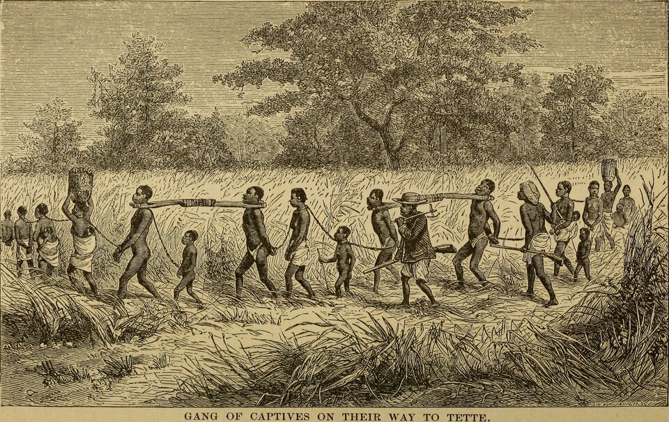 Ilustracja przedstawia czarnoskórych niewolników prowadzonych przez pole. Są tu kobiety, mężczyźni i dzieci. Wszyscy są powiązani ze sobą sznurami, Mężczyźni są połączeni ze sobą w pary drewnianymi dybami założonymi na szyjach.