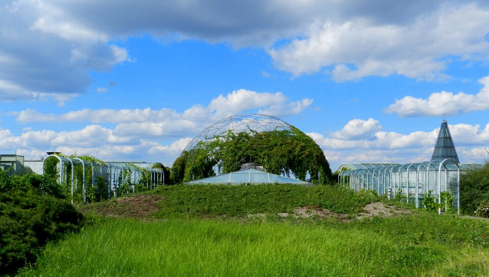 Zdjęcie przedstawia ogród na dachu Biblioteki Uniwersytetu Warszawskiego. Na pierwszym planie znajduje się zielony trawnik, a w centralnej części zdjęcia szklana kopuła porośnięta pnączem. Do kopuły z dwóch stron prowadzą przeszklone, okrągłe na górze tunele. Z prawej strony na zdjęciu widoczna jest wysoka wieża. 