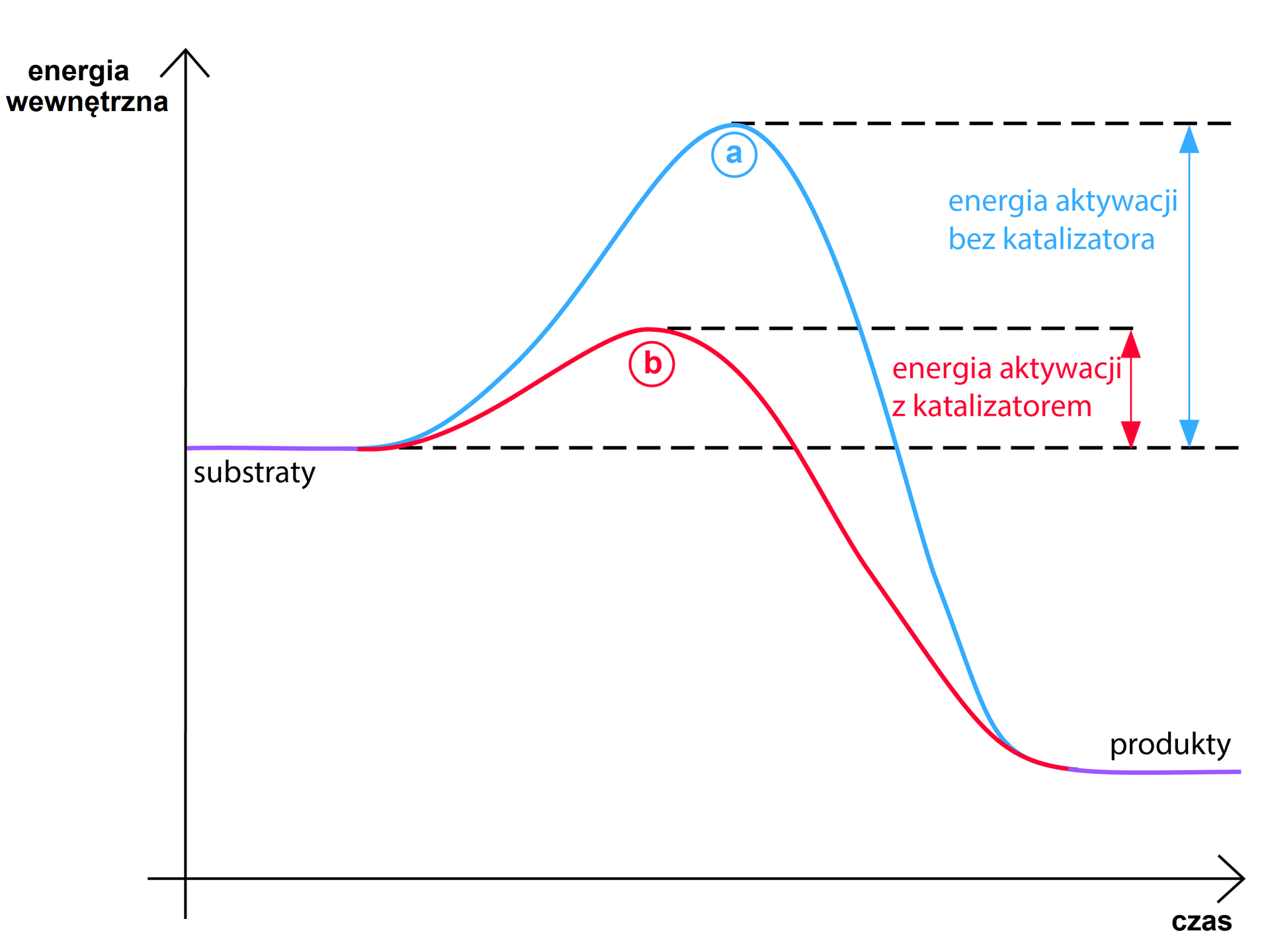 Wykres zależności zmiany energii wewnętrznej układu od czasu dla reakcji egzotermicznej a) bez udziału katalizatora oraz b) z udziałem katalizatora. Energia substratów zaznaczona jako poziomy odcinek po lewej stronie. Następnie funkcja rośnie osiągając maksimum, które odpowiada energii kompleksu aktywnego w przypadku a) bez udziału katalizatora maksimum przypada na większą wartość energii, zaś dla b) kiedy to w reakcji udział bierze katalizator maksimum znajduje się przy niższej wartości energii. Dalej funkcja maleje i wypłaszcza się, przyjmując wartość mniejszą niż energia substratów. Różnica pomiędzy energią kompleksu aktywnego i energią substratów to energia aktywacji, która to jest mniejsza w przypadku użycia katalizatora.