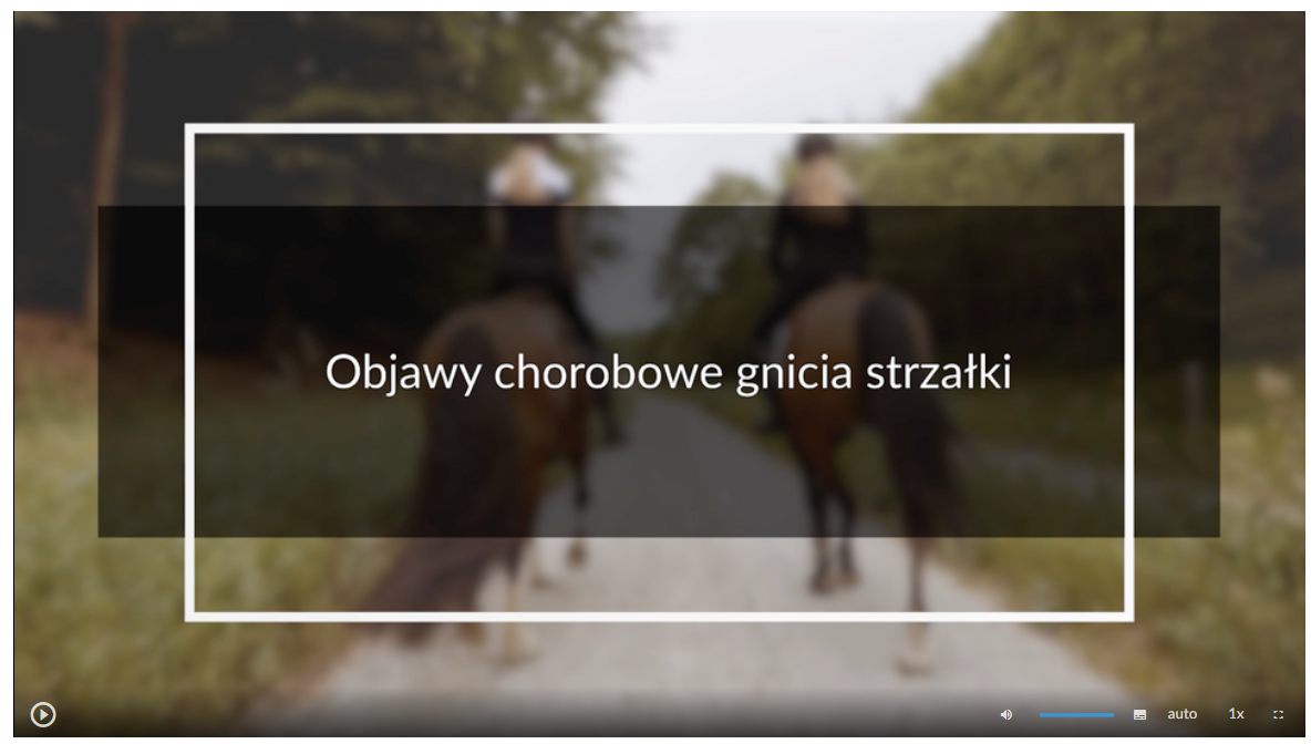 Grafika przedstawia wygląd ekranu filmu. Znajduje się na nim plansza tytułowa. Jest to grafika przedstawiająca dwóch jeźdźców na koniach, na której tle umieszczono tytuł filmu: Objawy chorobowe gnicia strzałki. W lewym dolnym rogu ekranu filmu umieszczony jest przycisk służący do odtwarzania i zatrzymywania filmu. W prawym dolnym rogu ekranu umieszczono szereg różnych przycisków. Odpowiedzialne są one między innymi za uruchamianie napisów, zmianę głośności i zmianę szybkości odtwarzania.