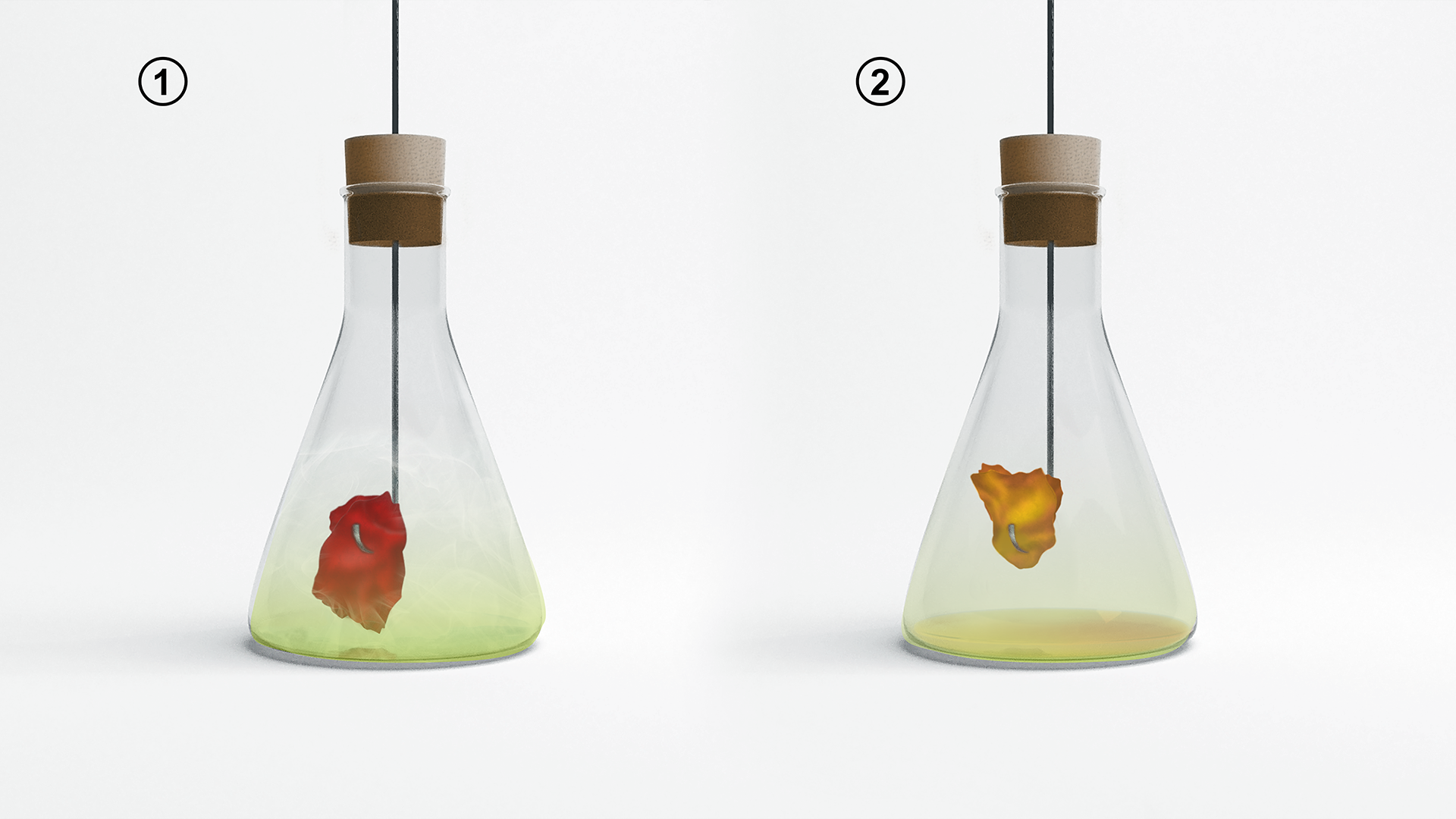 Ilustracja przedstawia dwie kolby stożkowe zamknięte korkami. Przez środek każdego korka przechodzi drut, na którego końcu znajduje się barwna tkanina. W pierwszym przypadku w kolbie znajduje się bezbarwny roztwór i czerwony kawałek materiału. W drugiej kolbie znajduje się żółty materiał, a pod nim żółty roztwór.