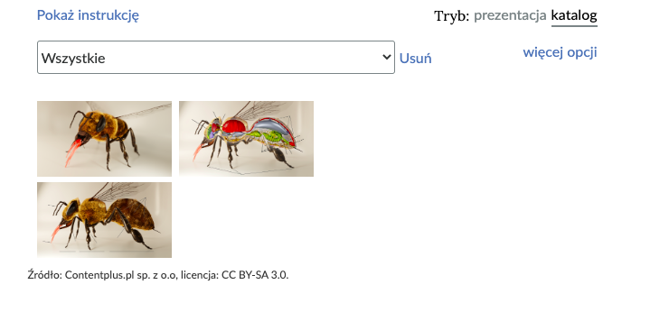 Grafika przedstawia widok katalogu interaktywnego. Na samej górze od lewej widoczne są napisy: Pokaż instrukcję, Tryb: prezentacja katalog. Poniżej od lewej widoczny jest prostokąt z napisem "Wszystkie" wewnątrz oraz strzałka w dół. Zaraz obok widnieje napis "Usuń" oraz "Więcej opcji". Poniżej znajdują się trzy prostokąty przedstawiające robotnicę pszczoły miodnej. 