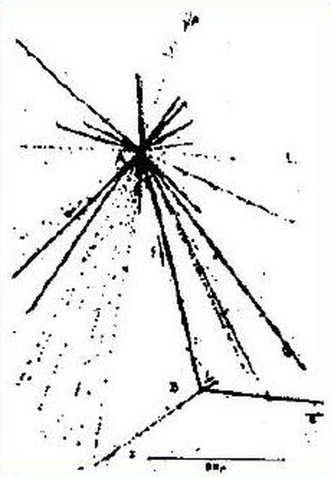 Rys. 7a. przedstawia obraz uzyskany na emulsji jądrowej i stanowi zapis odkrycia pierwszego hiperjądra. Górny obiekt podobny do gwiazdy – w postaci wielu czarnych linii przecinających się w punkcie A – połączony grubą czarną kreską z drugim obiektem położonym niżej – w postaci kilku czarnych linii przecinających się w punkcie B. Między liniami wiele czarnych kropek zarejestrowanych w detektorze.