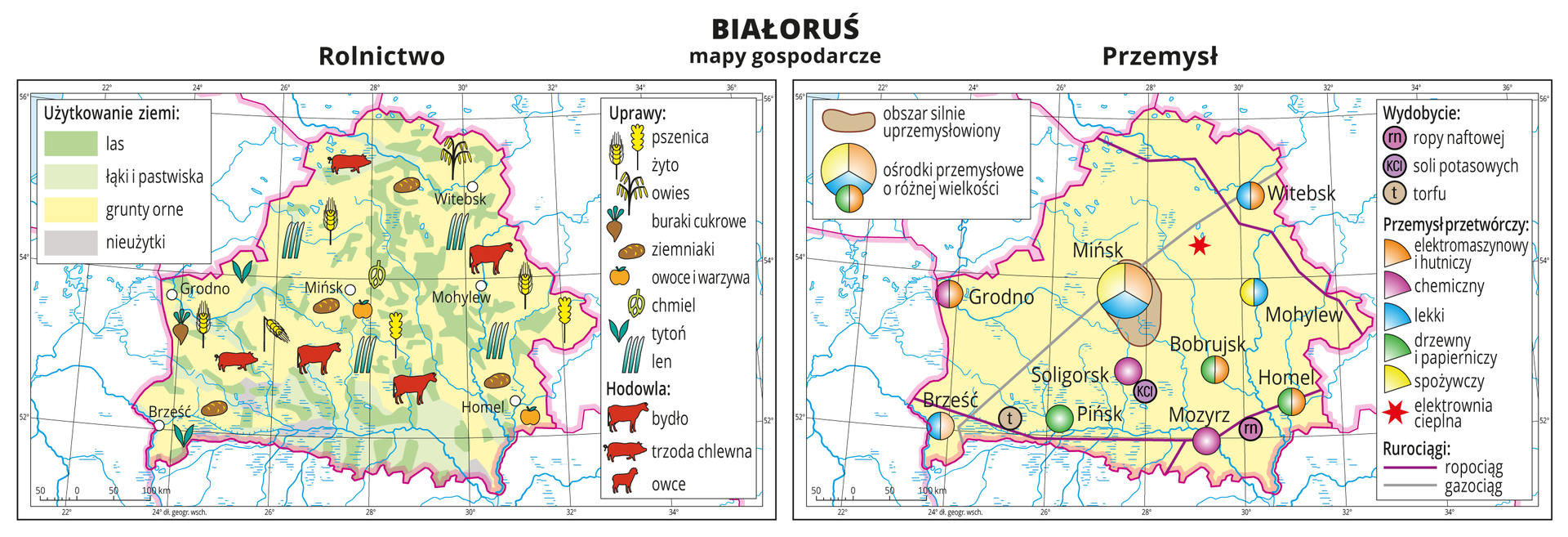 Ilustracja przedstawia dwie mapy gospodarcze Białorusi. Mapa pierwsza – rolnictwo, mapa druga – przemysł. Na mapie rolnictwa tło w kolorze żółtym (grunty orne), jasnozielonym (łąki i pastwiska), zielonym (lasy) i szarym (nieużytki). Na mapie sygnatury obrazujące uprawy roślin (pszenica, żyto, buraki cukrowe, ziemniaki, owoce, warzywa, tytoń i len) oraz hodowlę zwierząt (bydło, trzoda chlewna i owce). Na mapie przemysłu sygnatury kołowe – ośrodki przemysłowe. Duże w Mińsku, mniejsze w Grodnie, Brześciu, Mohylewie i innych miejscowościach. Przemysł elektromaszynowy i hutniczy, chemiczny, lekki, drzewny i papierniczy oraz spożywczy. Elektrownia cieplna w pobliżu Mińska oznaczona gwiazdką, ropociąg i gazociąg oznaczone liniami. Sygnaturami oznaczone wydobycie ropy naftowej, soli potasowych i torfu. Obie mapy zawierają południki i równoleżniki, dookoła map w białych ramkach opisano współrzędne geograficzne co dwa stopnie.