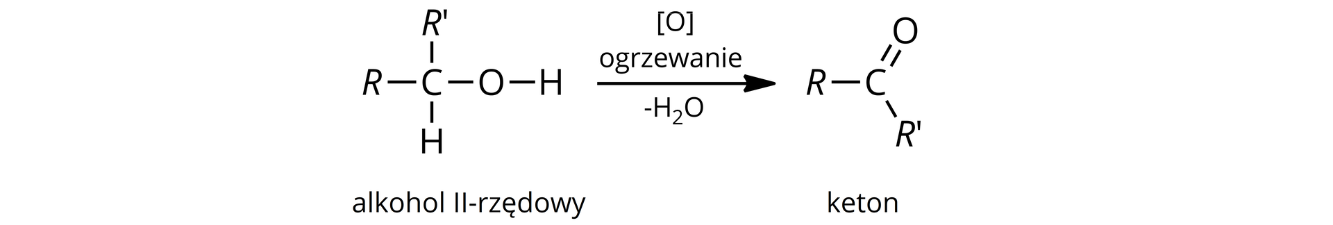 Na ilustracji znajduje się schemat reakcji utleniania alkoholu II-rzędowego.  Alkohol II-rzędowy o wzorze: do atomu węgla przyłączone R, R prim, atom wodoru i grupa hydroksylowa, strzałka w prawo, zapis: ogrzewanie minus cząsteczka wody, powstaje keton w którym do atomu węgla przyłączone są R, R prim poprzez wiązania pojedyncze oraz atom tlenu poprzez wiązanie podwójne.