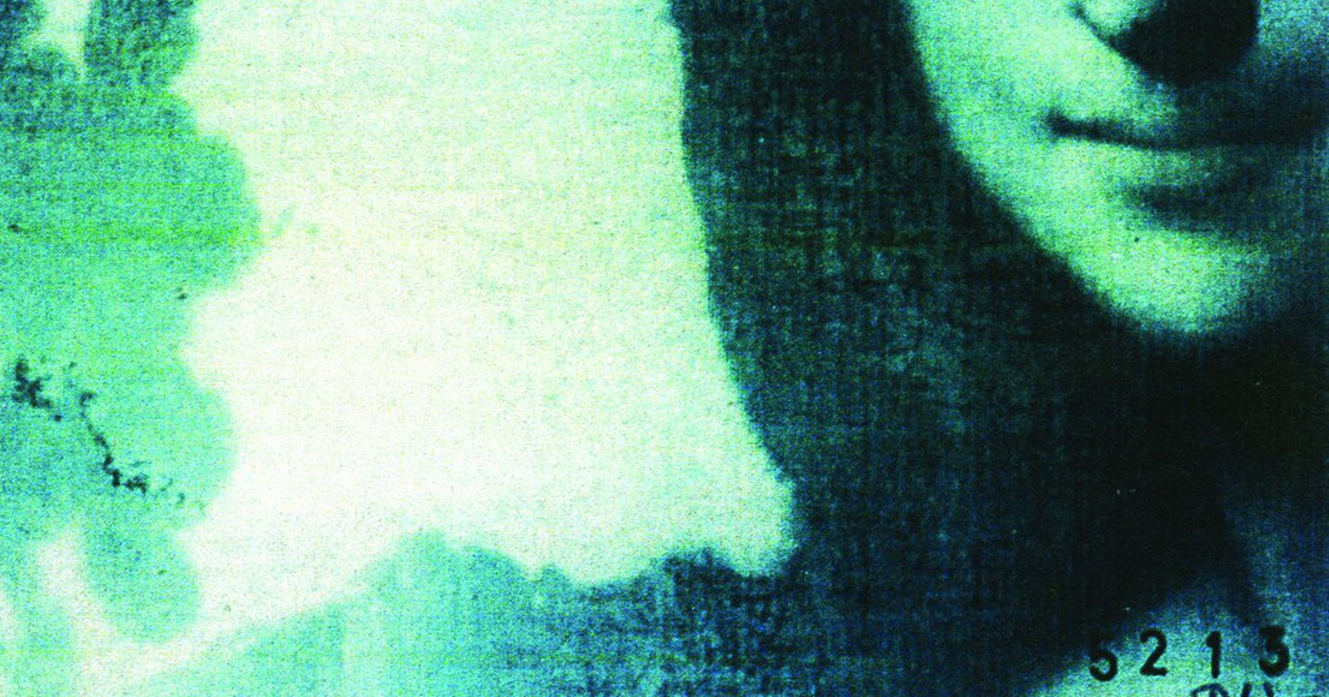 Rys. 1. Zdjęcie przedstawia fragment analizy obrazowej dzieła Leonarda da Vinci Mona Lisa. Fragment przedstawia dolną część twarzy Mony Lisy oraz część ramienia. Obraz analizy spektroskopowej nie ma naturalnych kolorów, prezentowany jest w tonacji zieleni i czerni. Charakterystyczna kolorystyka analizy obrazowej to efekt metody jaką wybrano do jej wykonania. Zdjęcie wykonano w technologii spektroskopii absorpcyjnej. Technika spektroskopii absorpcyjnej może być wykorzystywana do bezpiecznego badania dzieł sztuki. Spektroskopia absorpcyjna jest techniką, w której mierzona jest absorpcja promieniowania elektromagnetycznego w funkcji długości fali. Na podstawie uzyskanych danych można określić, jakie pierwiastki wchodzą w skład badanej próbki.