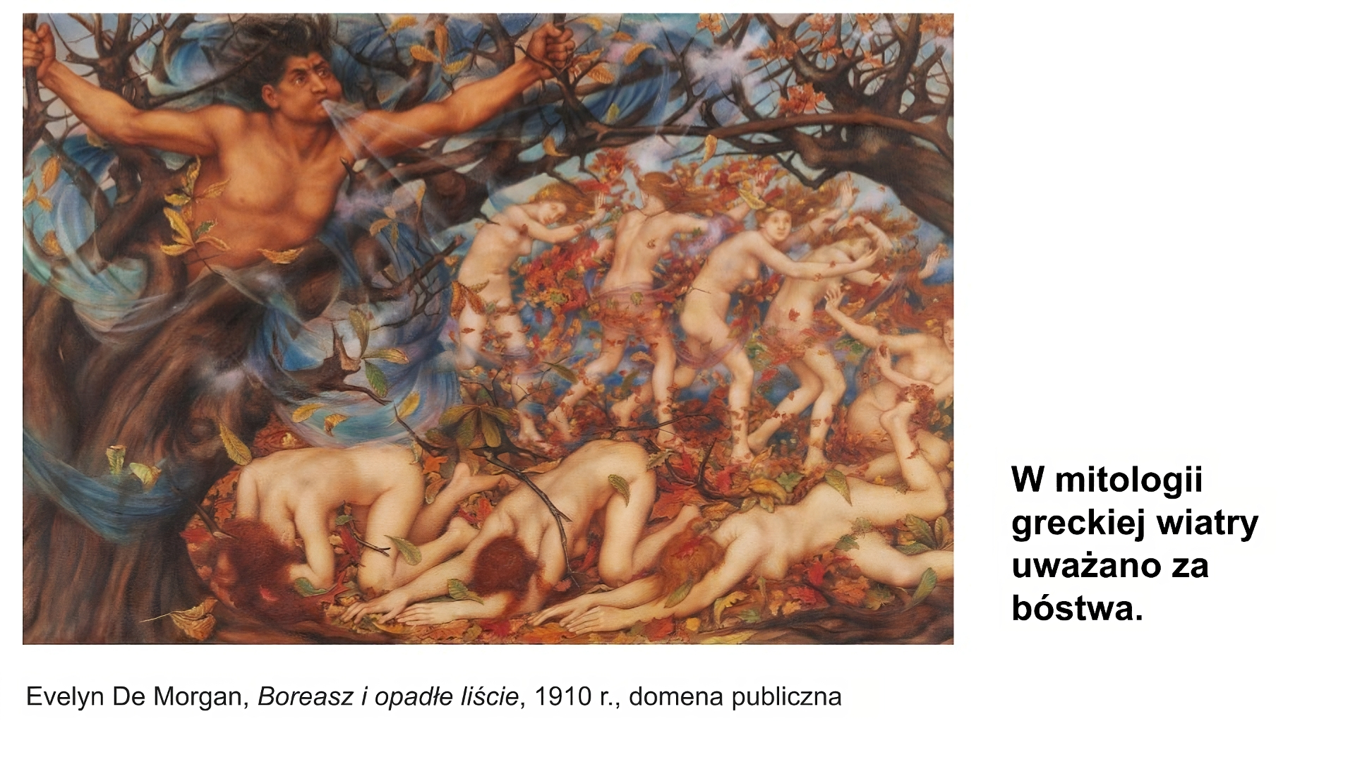 Biały slajd. Z lewej strony obraz. Po lewej stronie z pnia drzewa wyłania się górna część ciała mężczyzny. Ma szeroko rozłożone ramiona, rękami trzyma się gałęzi, mocno dmucha. W środku i po prawej stronie osiem nagich kobiet. Trzy leżą na ziemi. Wokół nich wiele czerwonych, pomarańczowych, żółtych i zielonych liści. W tle pięć nagich kobiet z trudem idzie w prawą stronę, gdyż mocno wieje wiatr. Wokół nich wiele jesiennych liści. Pod obrazem podpis: „Evelyn de Morgan, Boreasz i opadłe liście, 1910 rok, domena publiczna”. W prawym dolnym rogu slajdu tekst: „W mitologii greckiej wiatry uważano za bóstwa”.