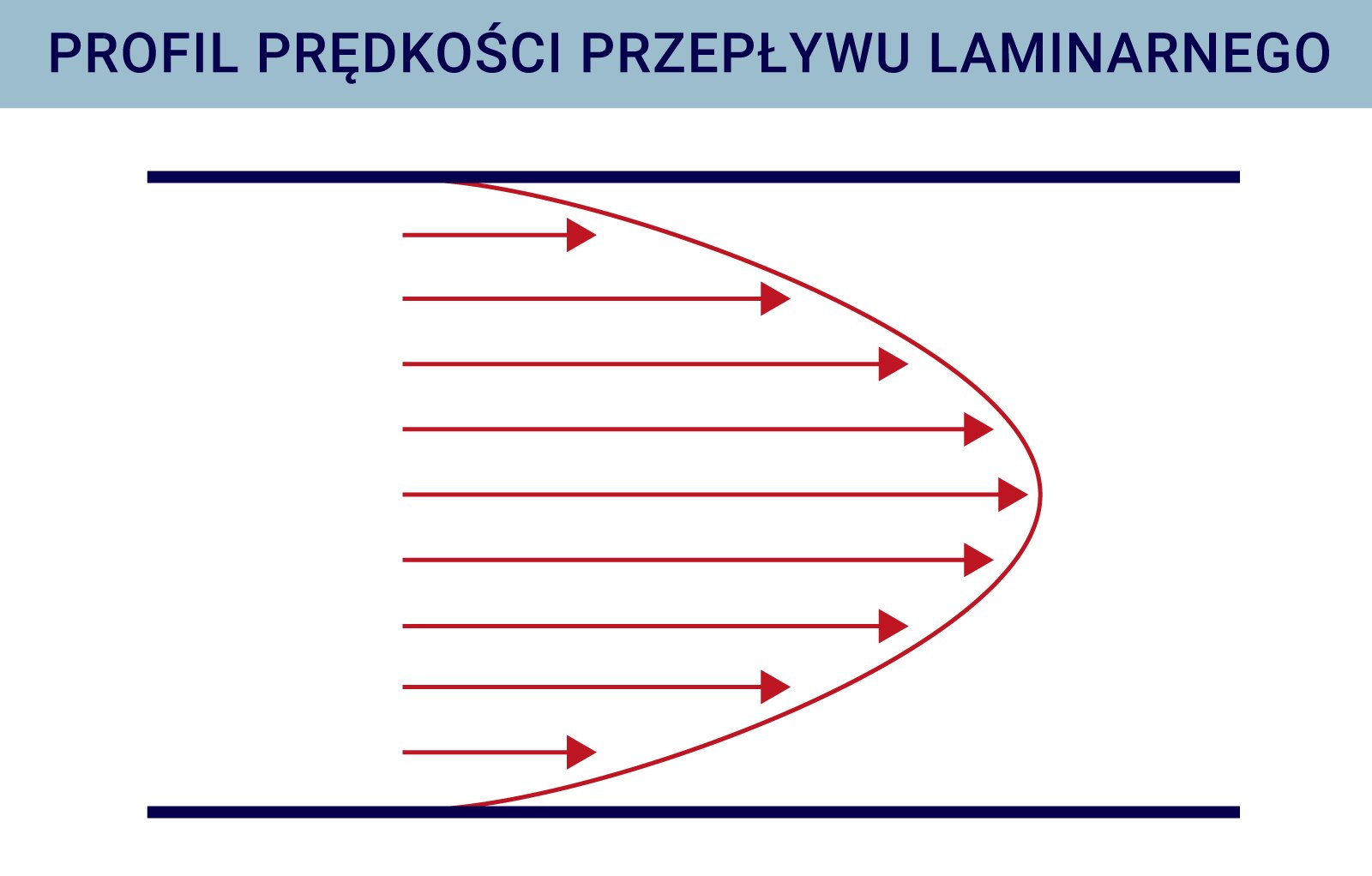 Ilustracja przedstawia profil prędkości przepływu laminarnego. Jest to jajowaty łuk zawarty między dwiema poziomymi liniami. Łuk na rysunku jest wybrzuszony w prawo. Od lewej strony poprowadzono poziome strzałki kończące się na łuku. Strzałki mają zwrot w prawo zgodnie w wybrzuszeniem łuku. 