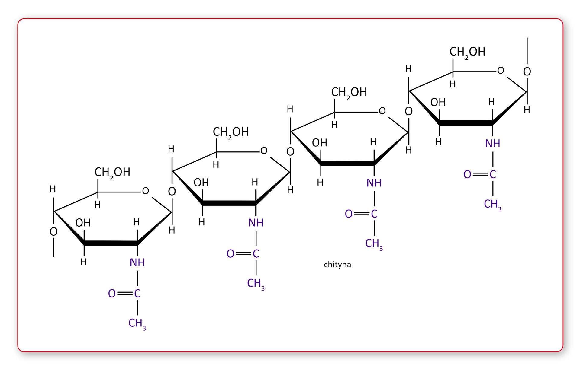 Ilustracja przedstawia wzór chityny. To połączone ze sobą na skos sześcioczłonowe pierścienie. Na dole łączą się z NH, która łączy się z atomem węgla. Ten z kolei łączy się po prawej stronie wiązaniem podwójnym z atomem tlenu, a na dole z grupą metylową.  