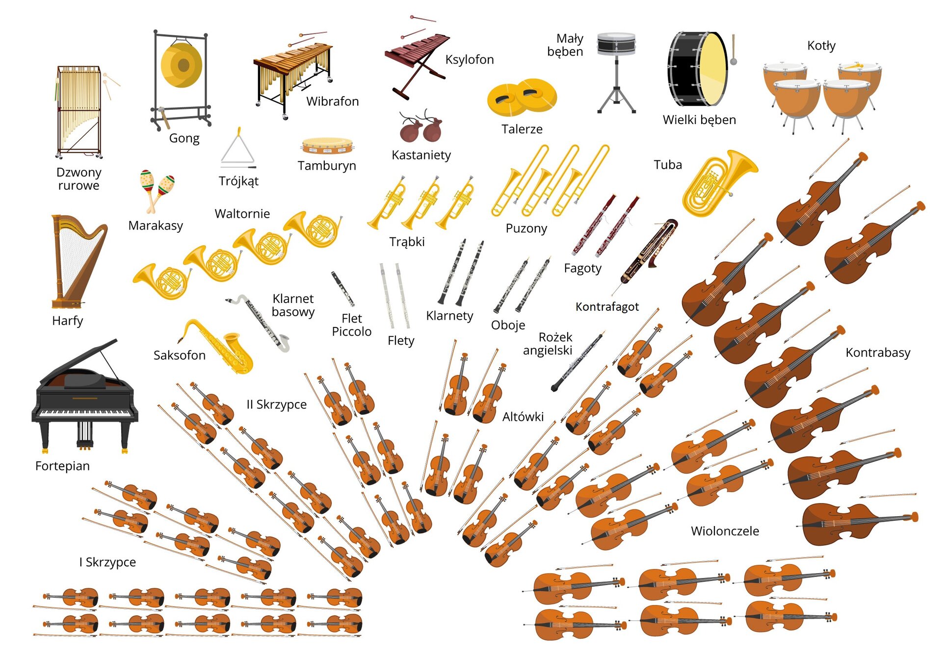 Od dyrygenta instrumenty ułożone są w kształt przypominający wiele półkoli. Najbliżej dyrygenta, po jego lewej stronie znajdują się skrzypce, pierwsze i drugie, ułożone w rzędach, po dwa obok siebie. Jest ich 30. Zaraz obok skrzypiec, przed dyrygentem  znajdują się altówki, ułożone w rzędach, po dwa obok siebie. Jest ich 12. Po prawej stronie dyrygenta stoją wiolonczele, ułożone w rzędach, po dwa obok siebie. Jest ich 10. Za wiolonczelami oraz altówkami znajdują się kontrabasy, ułożone w dwóch półokręgach. Jest ich 8. Skrajnie po lewej stronie, za skrzypcami stoi fortepian. Obok niego saksofon, obok klarnet basowy, flet piccolo, dwa flety, dwa klarnety, dwa oboje i rożek angielski, a trochę dalej od dyrygenta – kontrafagot i dwa fagoty. W następnym półokręgu po lewej stronie znajdują się harfy, cztery waltornie, trzy trąbki, trzy puzony i tuba po prawej stronie, obok kontrabasów. W kolejnym półokręgu, po lewej stronie znajdują się jedne marakasy, obok trójkąt, tamburyn, jednie kastaniety, jedne talerze, mały bęben, wielki bęben oraz cztery kotły skrajnie po prawej stronie. Ostatni półokrąg orkiestry symfonicznej zawiera po lewej stronie dzwony rurowe, obok nich gong, wibrafon, ksylofon.
