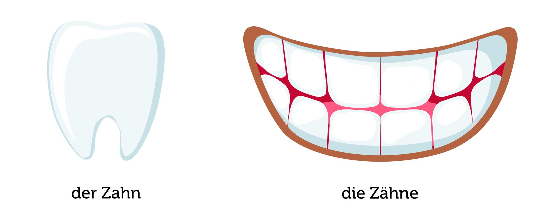 Ilustracja przedstawia jeden ząb, a obok uśmiechnięte usta odsłaniające sześć górnych zębów i sześć dolnych zębów. Ćwiczenie alternatywne wyświetla się w trybie dostępności.