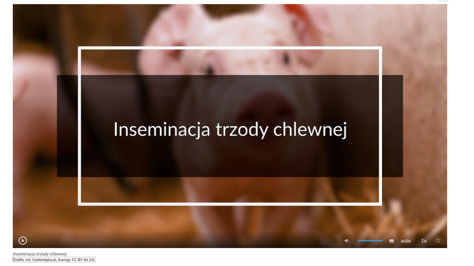 Grafika przedstawia widok okna odtwarzacza filmu. Na środku znajduje się napis: Inseminacja trzody chlewnej. Poniżej widoczny jest pasek z ikonami.