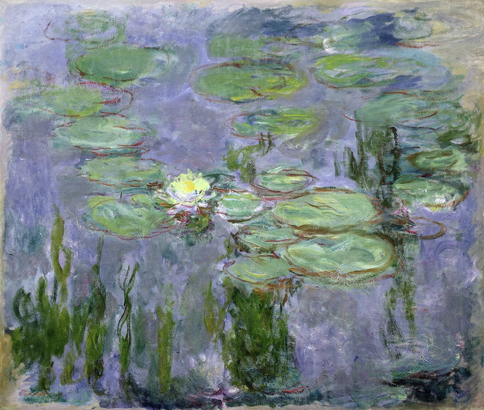 Obraz autorstwa Claude Monet, pod tytułem: „Nenufary”. Obraz przedstawia staw oraz żółte lilie wodne, otoczona płaskimi liśćmi. W tafli wody odbijają się zielone drzewa.