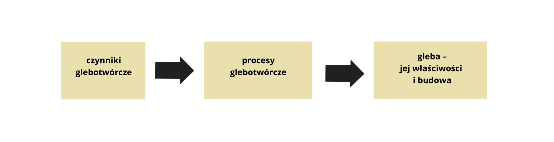 Graf przedstawia koncepcję powstawania gleby wg Dokuczajewa. Dzieli się ona na trzy etapy: czynniki glebotwórcze, następnie procesy glebotwórcze, a końcowo powstaje gleba – jej właściwości i budowa.