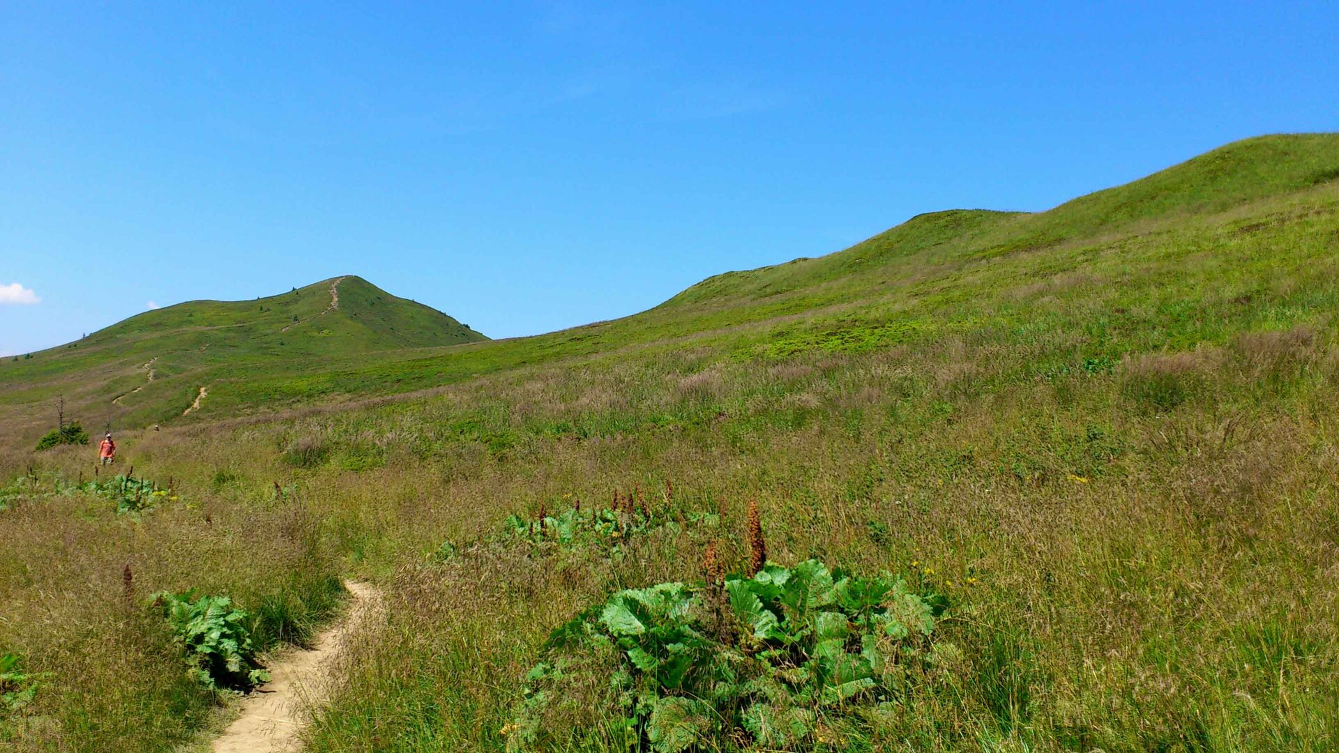 Fotografia łagodnych wniesień w całości pokrytych niską roślinnością trawiastą. Pośród nich wyznaczona wąska ścieżka szlaku turystycznego.