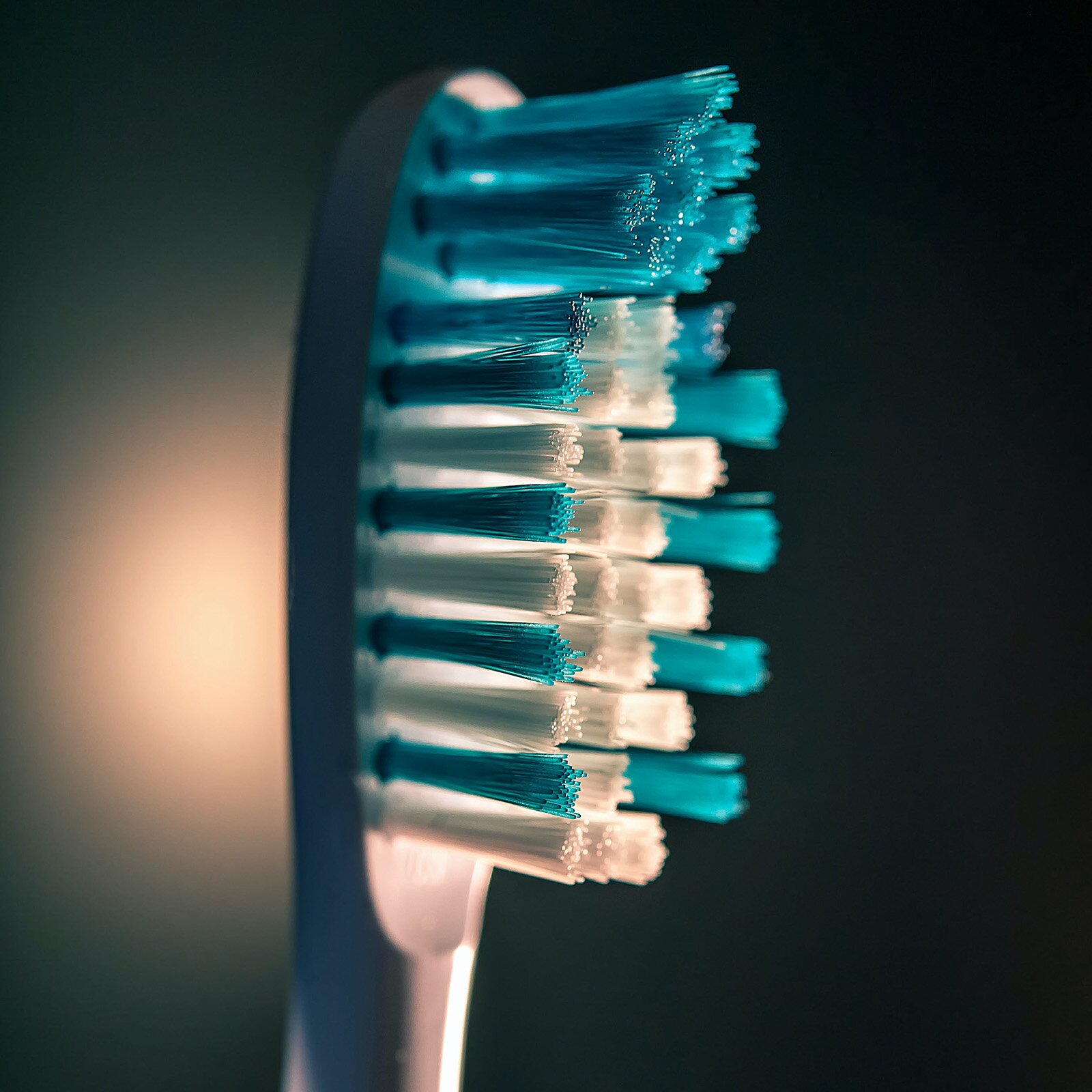 Zdjęcie przedstawia główkę szczoteczki do zębów. Szczecina jest w kolorze niebieskim i biały,