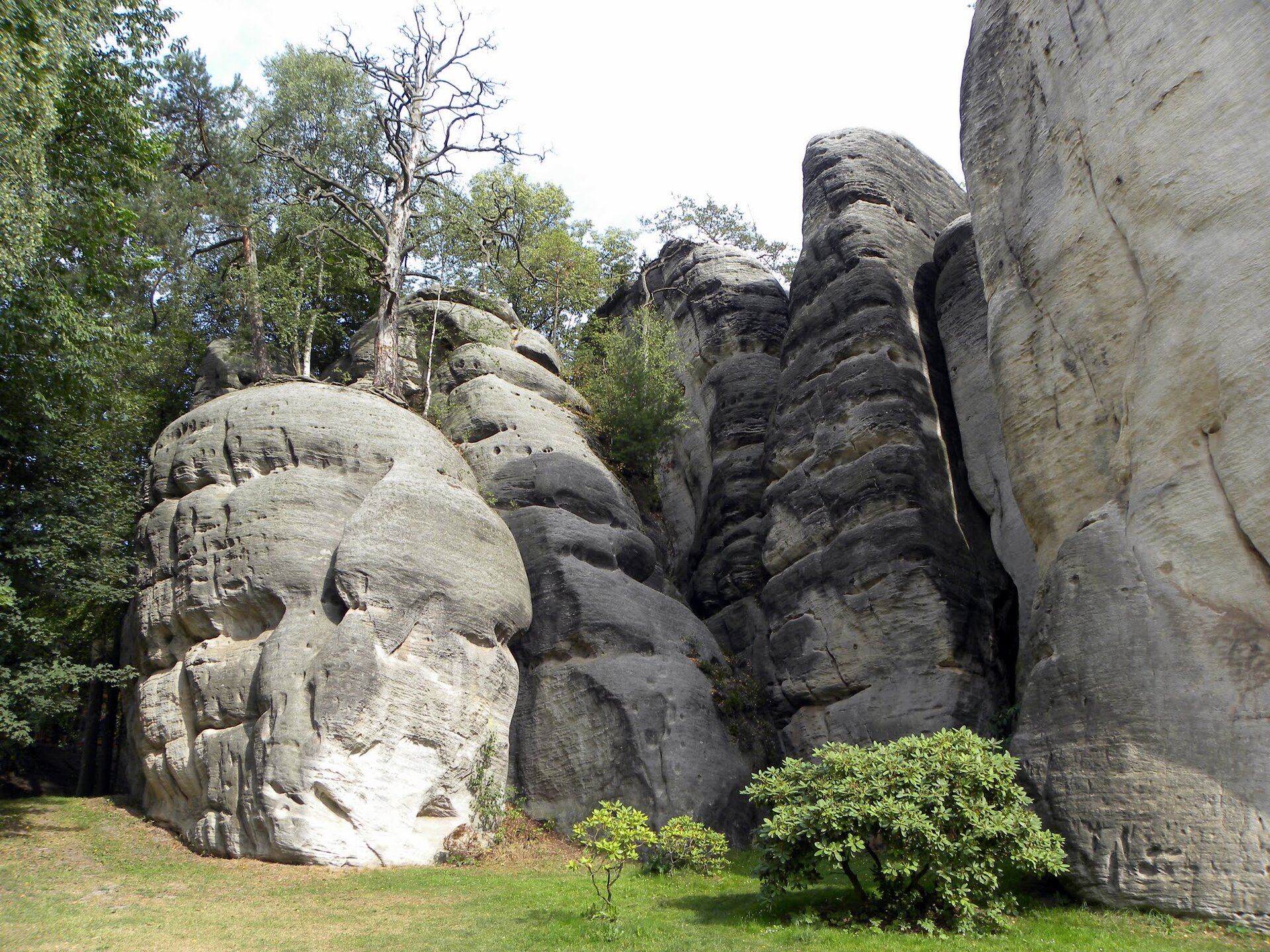 Na zdjęciu ogromne głazy w lesie. Między nimi są wąskie szczeliny. 