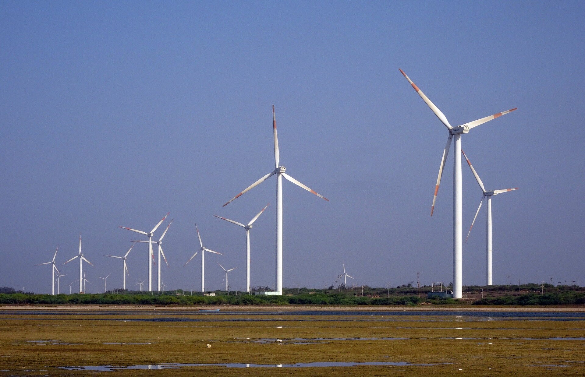 Zdjęcie przedstawia grupę kilkunastu turbin wiatrowych stojących na płaskim terenie. Turbina wiatrowa to urządzenie zamieniające energię kinetyczną wiatru na pracę mechaniczną w postaci ruchu obrotowego wirnika. Zbudowana jest z takich elementów jak fundament, wieża, gondola z przekładnią, generator, układ sterowania oraz łopaty wirnika. Mylnie nazywana elektrownią wiatrową – turbina wiatrowa stanowi zasadniczy element elektrowni wiatrowej.