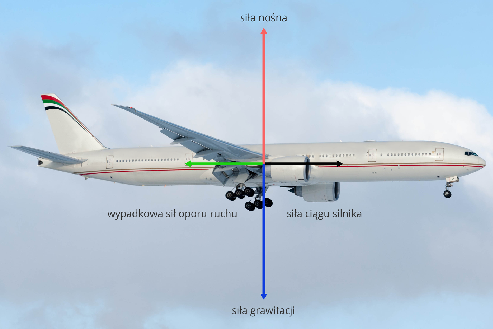 Zdjęcie samolotu w locie i dwie siły w postaci wektorów przyłożone do środka samolotu, pionowe, z przeciwnymi zwrotami, równymi długościami oraz dwie siły w postaci wektorów przyłożone do środka samolotu, poziome, z przeciwnymi zwrotami, równymi długościami.