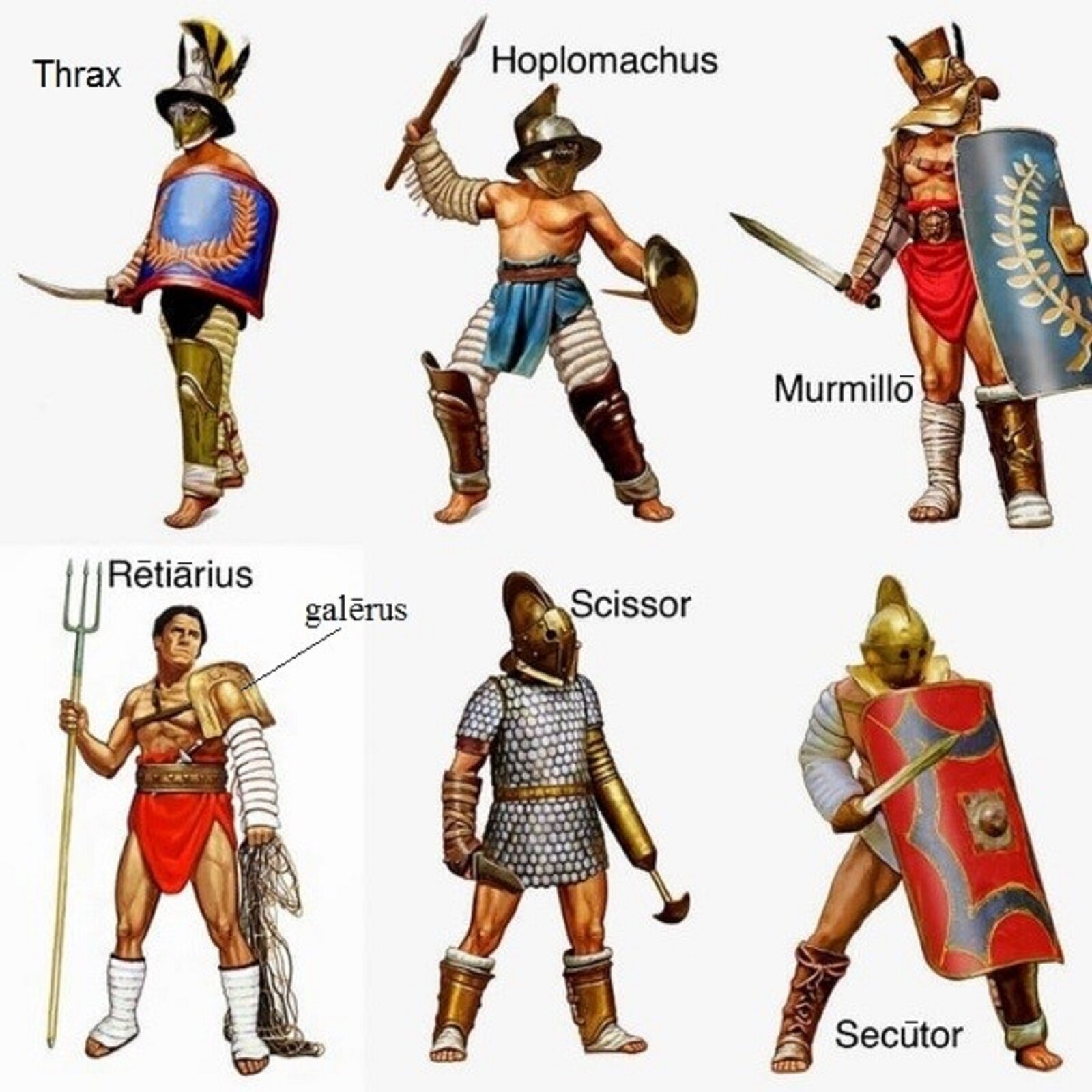 Ilustracja przedstawia sześciu gladiatorów, każdy z nich charakteryzuje się odmiennym stylem walki i uzbrojeniem. Zostali oni podpisani w następujący sposób: Thrax, Hoplomachus, Murmillo, Retarius, Scissor, Secutor.
