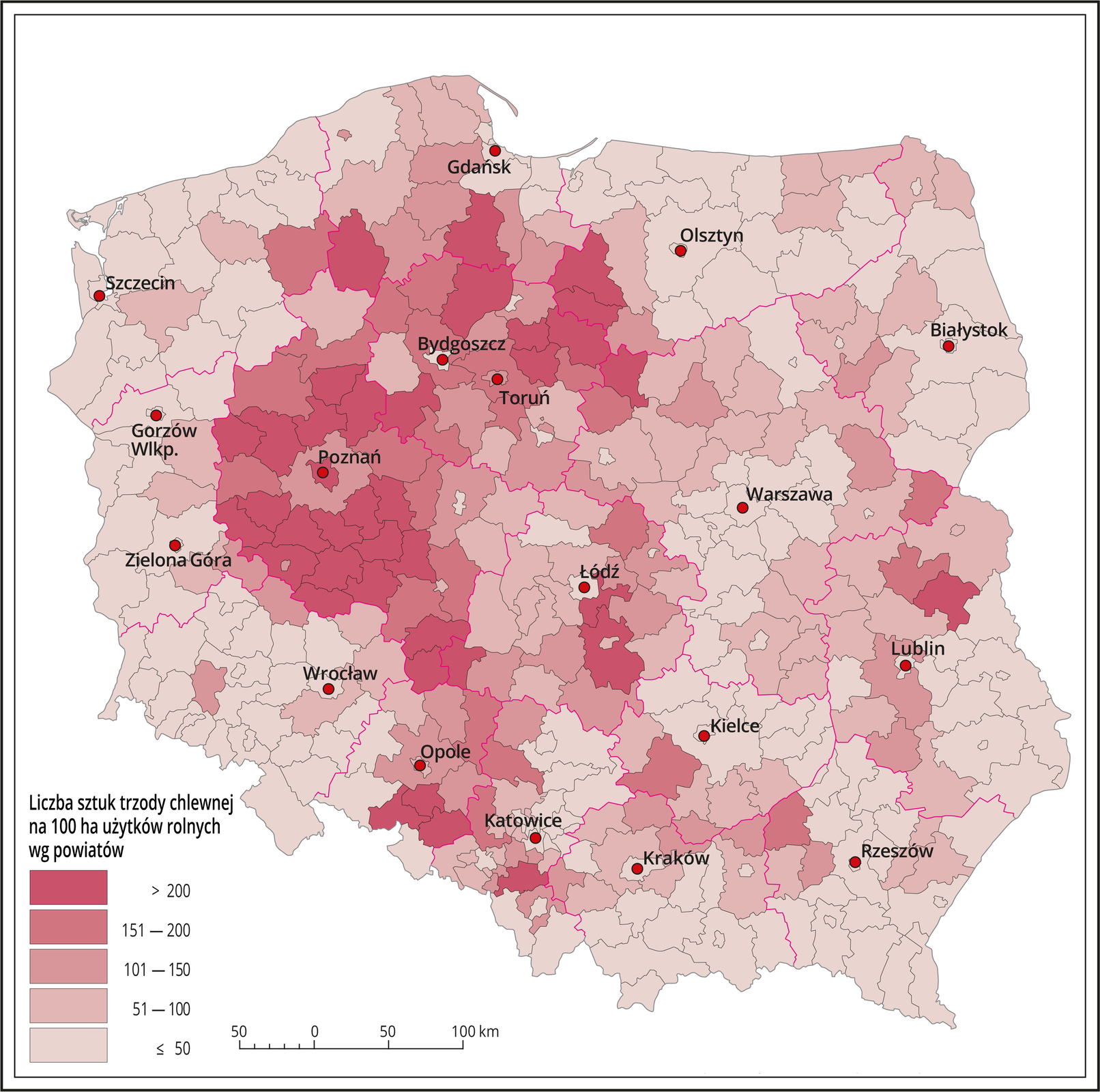 Mapa Polski z podziałem na powiaty przedstawia chów trzody chlewnej. Ponad 200 sztuk trzody chlewnej na 100 hektarów użytków rolnych wystąpiło w Wielkopolsce, w kujawsko pomorskim, pod Łodzią i pod Opolem. Od 151 do 200 sztuk wystąpiło w okolicy Bydgoszczy, Torunia, Opola, Poznania. Od 101 do 150 sztuk wystąpiło w okolicy Lublina, Łodzi, Gdańska, Opola. Od 51 do 100 sztuk wystąpiło w okolicy Krakowa, Lublina, Szczecina, Gorzowa Wielkopolskiego, Zielonej Góry, Wrocławia, Katowic. Poniżej 50 sztuk wystąpiło w okolicy Olsztyna, Białegostoku, Warszawy, Rzeszowa, Kielc, Katowic, Wrocławia, Zielonej Góry, Gorzowa Wielkopolskiego, Szczecina.