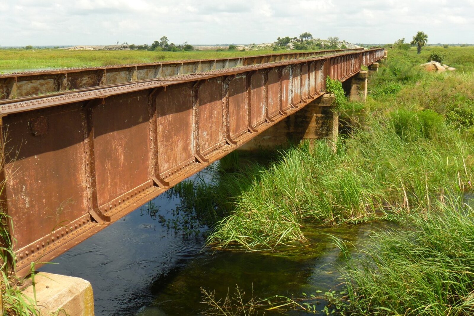 Most żelazny, pokryty lekką warstwą rdzy. Pod nim płytka rzeka i zarośla. W tle płaski, trawiasty teren.