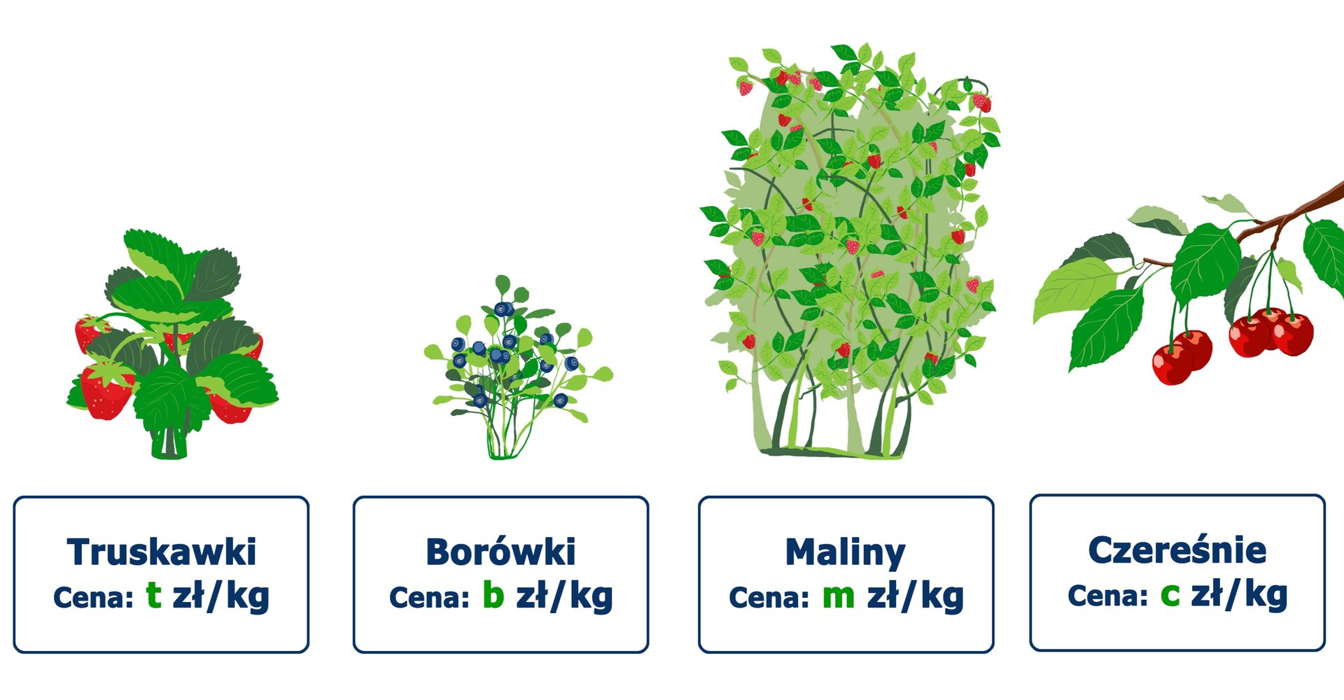 Ilustracja przedstawia rysunki krzewów owocowych. Pod każdym rysunkiem znajduje się cena danego owocu za jego kilogram. Na ilustracji znajdują się: truskawki – cena t zł za kilogram, borówki – cena b zł za kilogram, maliny – cena m zł za kilogram, czereśnie – c zł za kilogram.