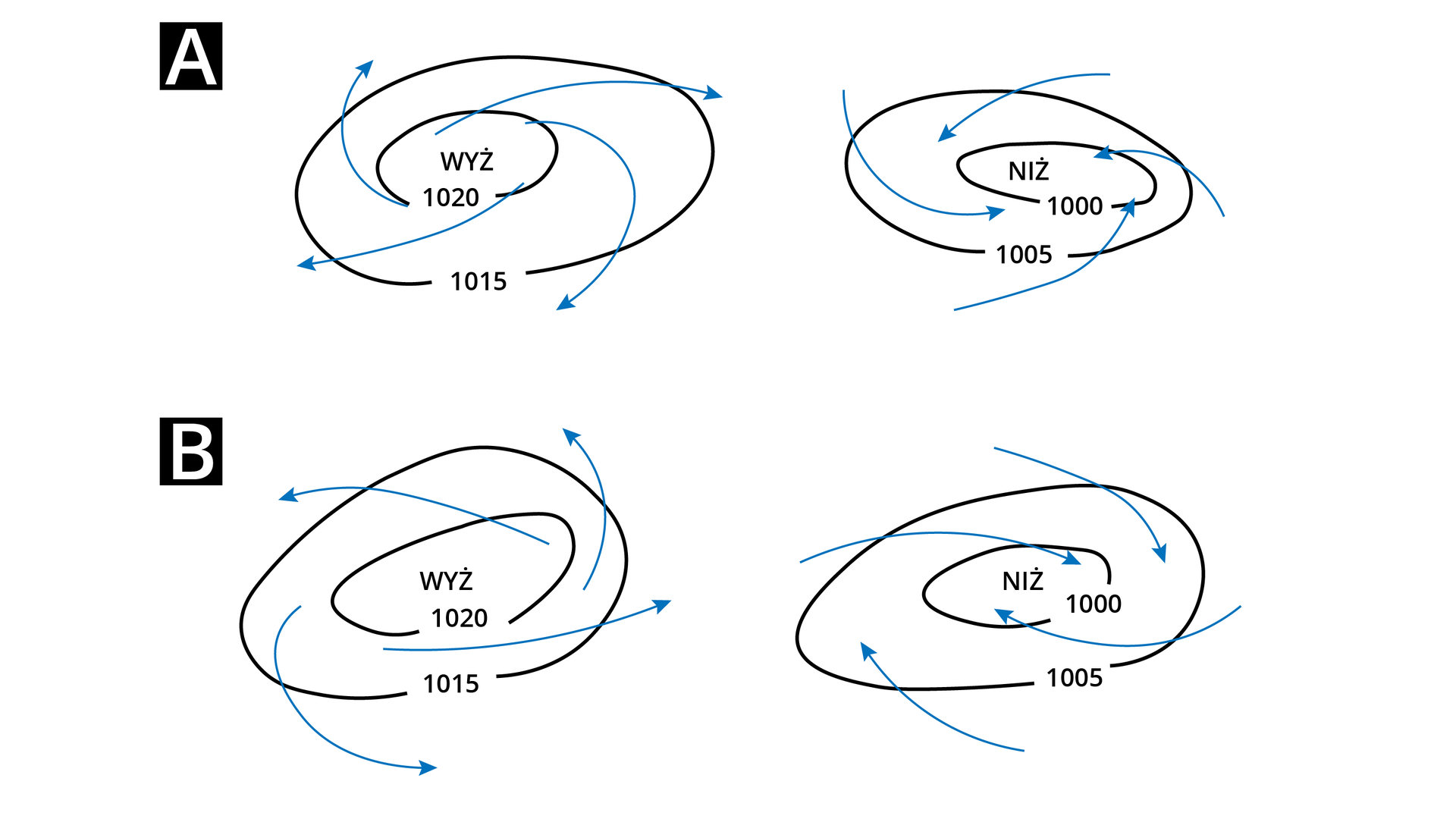 Ilustracja przedstawia schemat linii prądów niżu i wyżu. Na górze grafiki przedstawiono linie prądów na półkuli północnej. Linie prądów w wyżu na półkuli północnej są zgodne z ruchem wskazówek zegara, skierowane od centrum na zewnątrz. Linie prądów w niżu na półkuli północnej są przeciwne do ruchu wskazówek zegara skierowane ku centrum. Na dole grafiki przedstawiono linie prądów na półkuli południowej. Linie prądów w wyżu na półkuli południowej są przeciwne do ruchu wskazówek zegara, skierowane od centrum na zewnątrz. Linie prądów w niżu na półkuli południowej są zgodne z ruchem wskazówek zegara, skierowane ku centrum.
