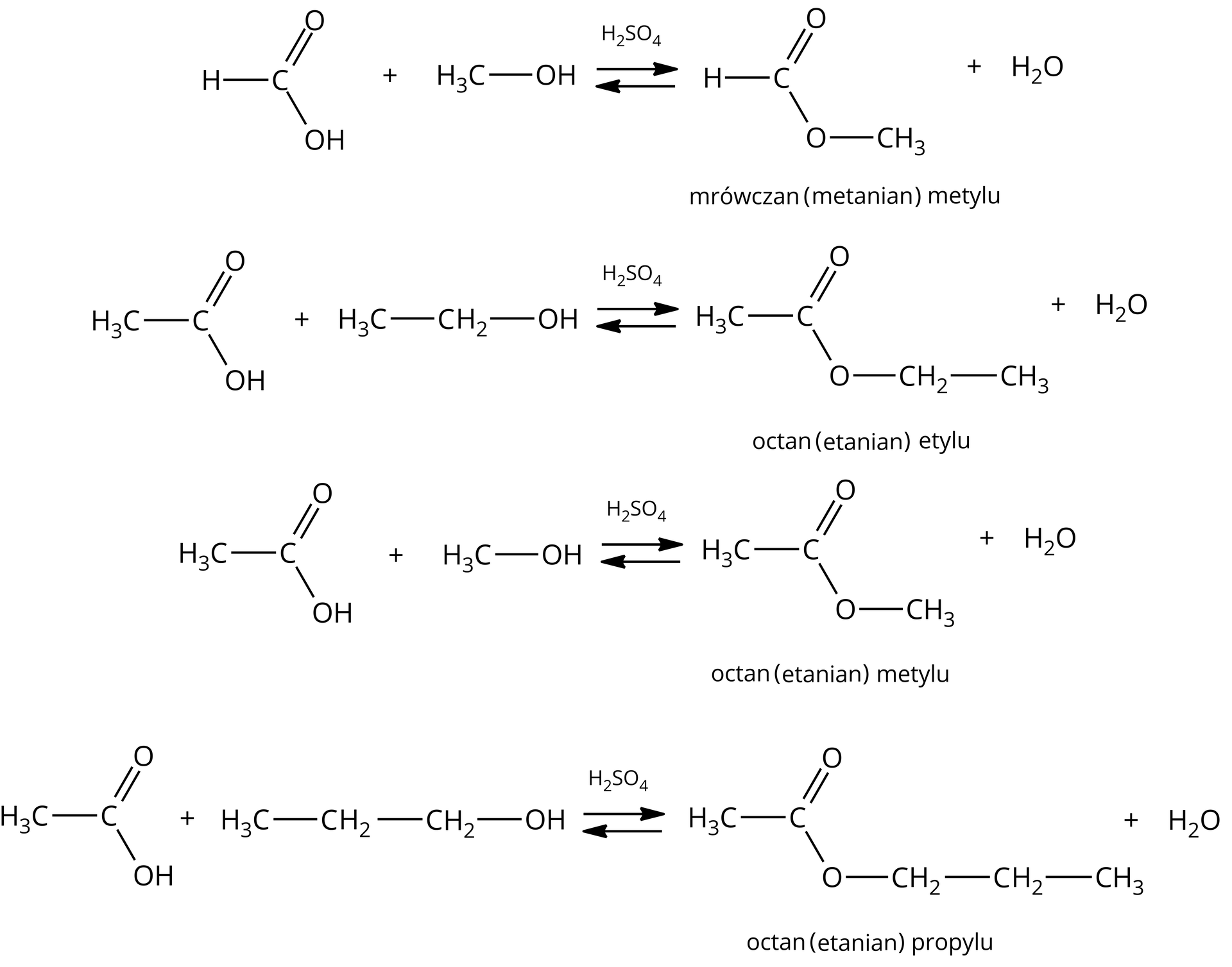 Ilustracja przedstawia cztery równania reakcji. Dla ułatwienia zastosowano zapis COOH jako grupy karboksylowej i COO jako grupy estrowej. W tych fragmentach atom węgla tworzy wiązanie podwójne z atomem tlenu oraz wiązanie pojedyncze z drugim atomem tlenu, który z kolei tworzy wiązanie pojedyncze z atomem wodoru lub dalszą częścią cząsteczki. Równanie pierwsze: otrzymywanie mrówczanu, czyli metanianu, metylu: HCOOH + H3C-OH ⇄H2SO4 HCOOCH3 + H2O
Równanie drugie: otrzymywanie octanu, czyli etanianu, etylu: H3C-COOH + H3C-CH2-OH ⇄H2SO4 H3C-COOCH2CH3 + H2O
Równanie trzecie: otrzymywanie octanu, czyli etanianu, metylu: H3C-COOH + H3C-OH ⇄H2SO4 H3C-COOCH3 + H2O
Równanie czwarte: otrzymywanie octanu, czyli etanianu, propylu: H3C-COOH + H3C-CH2-CH2-OH ⇄H2SO4 H3C-COOCH2CH2CH3 + H2O.