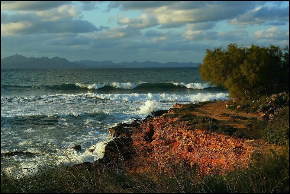 Zdjęcie przedstawia morze i brzeg morski. Na brzegu rosną niewysokie drzewa, krzewy i trawy. W tle jest pasmo górskie.  