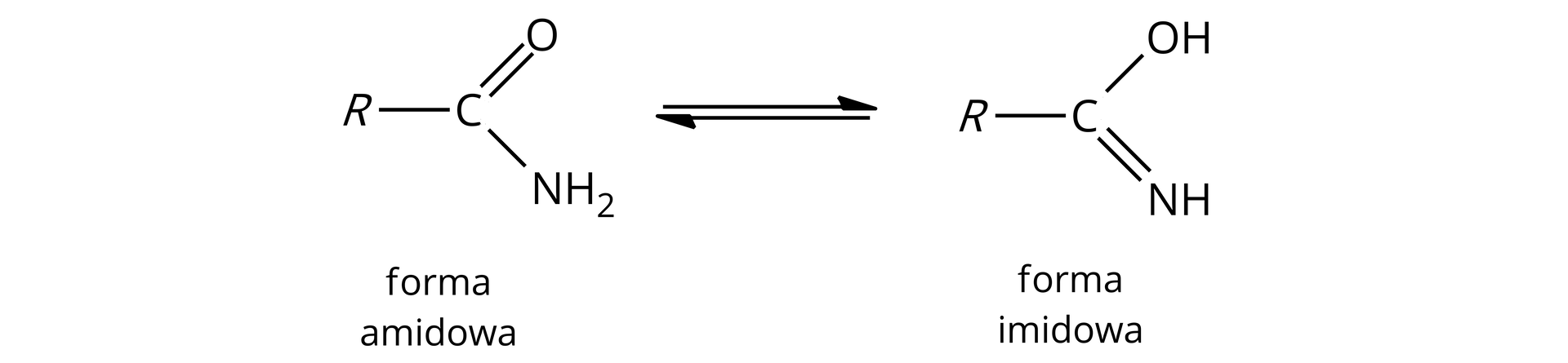 Ilustracja przedstawiająca dwie formy cząsteczek - amidową oraz imidowej. Forma amidowa zbudowana jest z podstawnika R związanego z atomem węgla połączonym za pomocą wiązania podwójnego z atomem tlenu oraz za pomocą wiązania pojedynczego z grupą aminową NH2. Strzałki równowagowe, za strzałkami forma imidowa składająca się z podstawnika R związanego z atomem węgla połączonym za pomocą wiązania pojedynczego z grupą hydroksylową OH oraz za pomocą wiązania podwójnego z atomem azotu grupy NH.