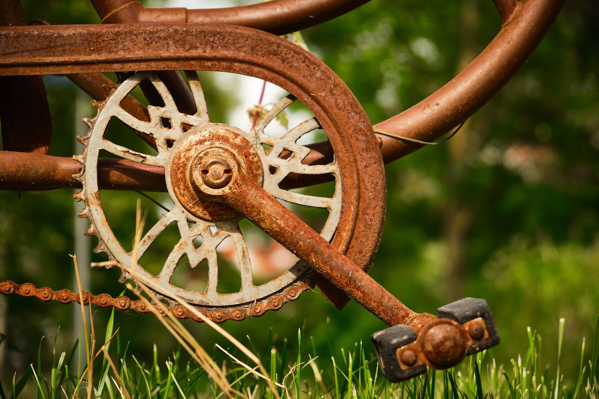 Zdjęcie przedstawiające zardzewiały fragment roweru: kawałek ramy, łańcuch, koło zębate oraz pedały. W tle znajduje się trawa.