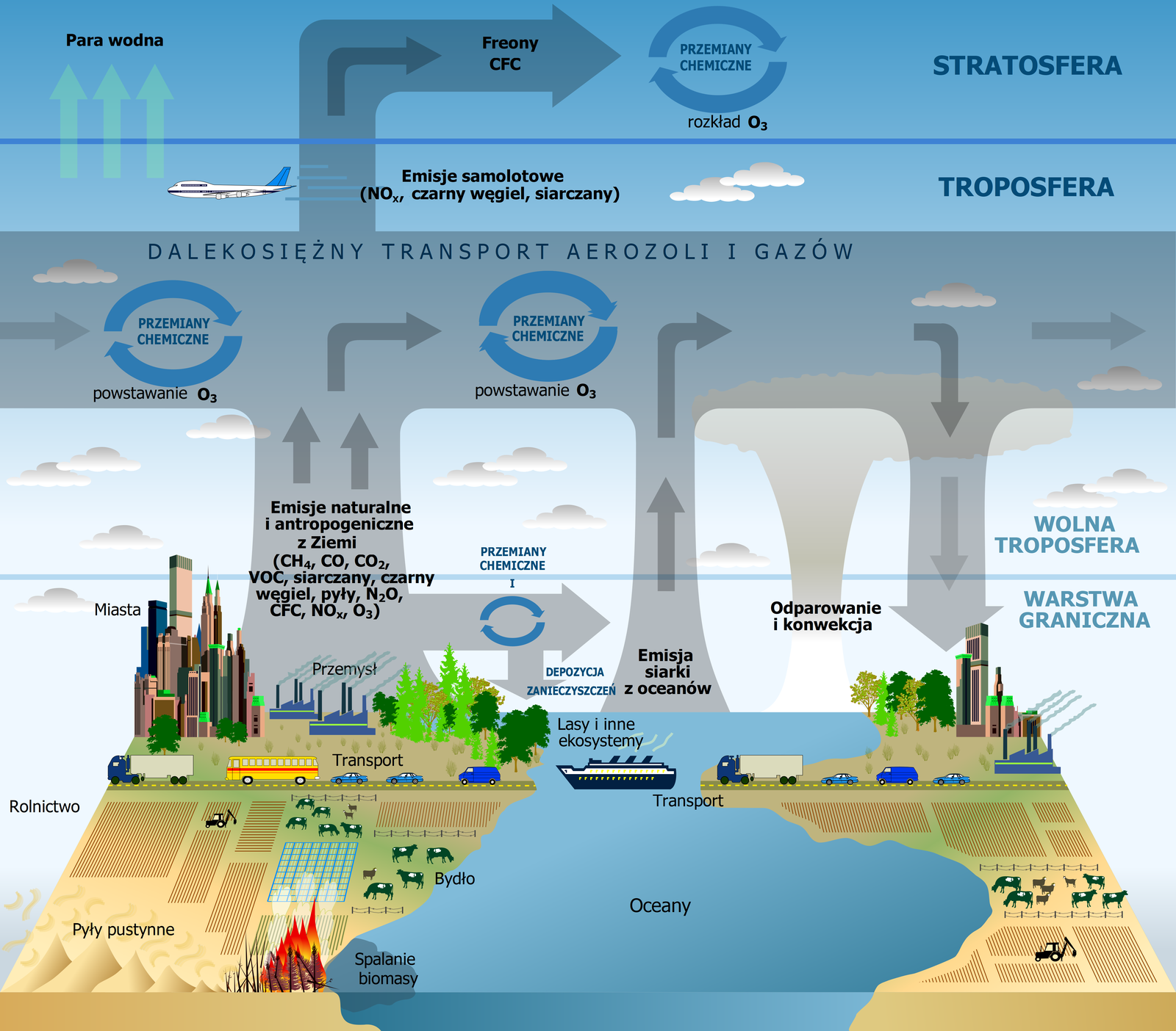 Diagram składu atmosfery. Na pierwszym planie ilustracji znajdują się: pola uprawne, ocean, transport w postaci samochodów, statków, pyły pustynne, lasy i inne ekosystemy, zabudowę miast, zakłady przemysłowe z kominami. Na drugim planie zaznaczono warstwę graniczną, następnie powyżej niej wolną troposferę, troposferę, nad którą jest stratosfera. Z ziemi w kierunku troposfery zaznaczono emisje naturalne i antropogeniczne  z Ziemi (metan, tlenek węgla, dwutlenek węgla, VOC, siarczany, czarny węgiel, pyły, tlenek azotu, CFC, mieszaniny tlenku azotu i dwutlenku azotu, ozon). W troposferze zachodzą przemiany chemiczne, powstaje ozon. Nad nimi jest napis: dalekosiężny transport aerozoli i gazów. W warstwie granicznej również zachodzą przemiany chemiczne, dochodzi do depozycji zanieczyszczeń (strzałka skierowana w stronę ziemi). Od warstwy granicznej w kierunku troposfery występuje zjawisko emisji siarki z oceanów. Zaznaczono również odparowanie i konwekcję. W górnej warstwie troposfery jest samolot, opisano: emisje samolotowe (mieszanina tlenku azotu i dwutlenku azotu, czarny węgiel, siarczany). W warstwie stratosfery zaznaczono freony CFC, przemiany chemiczne - rozkład ozonu. Do stratosfery dostaje się para wodna.  