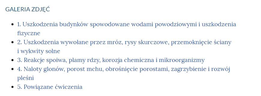 Spis treści składa się z nazwy multimedium, czyli w tym wypadku galerii zdjęć, oraz znajdujących się poniżej poszczególnych zagadnień. Na każde z zagadnień można klikać, użytkownik zostanie wtedy przeniesiony w miejsce, gdzie omówione jest dane zagadnienie.